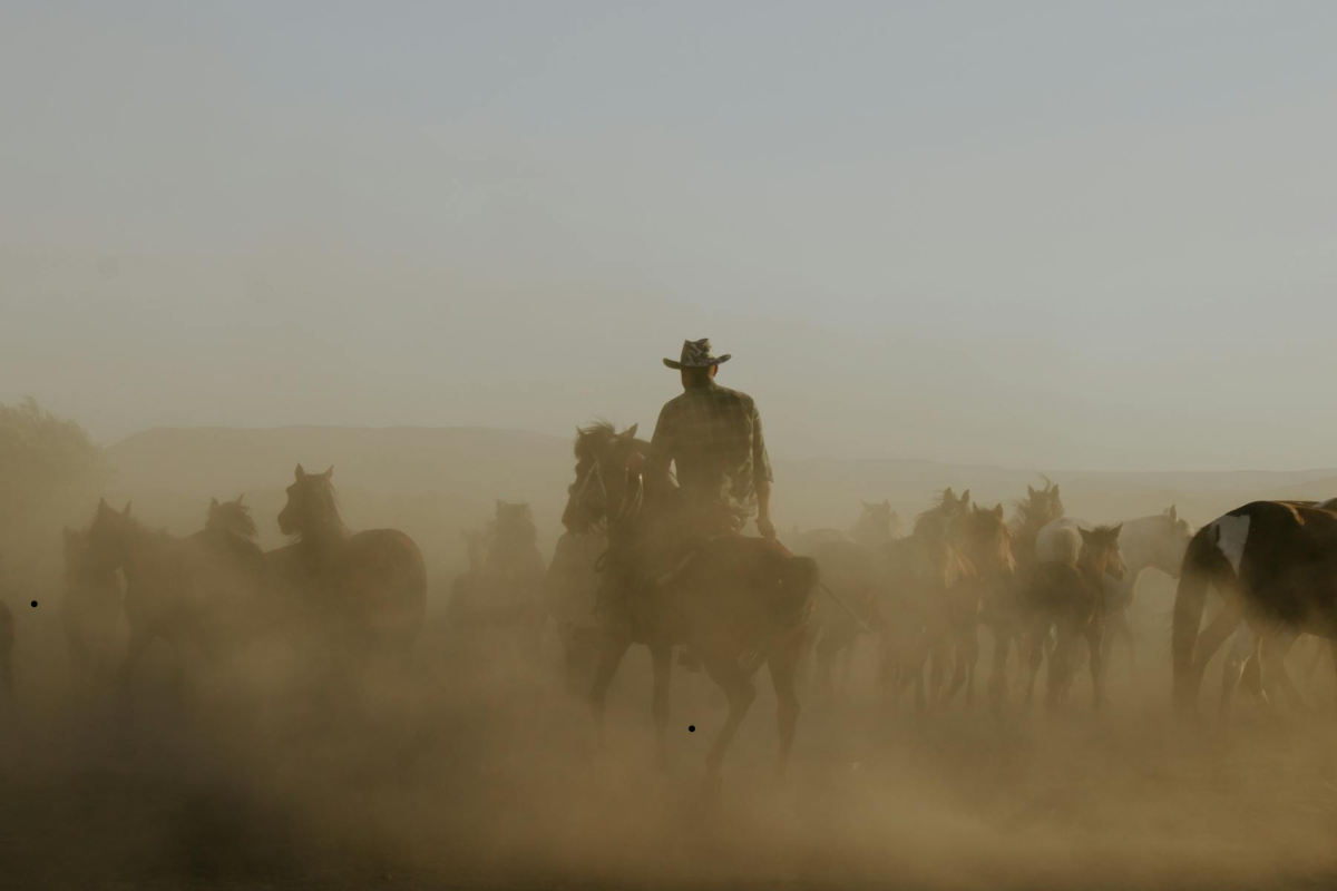 Is Grit the American Virtue?