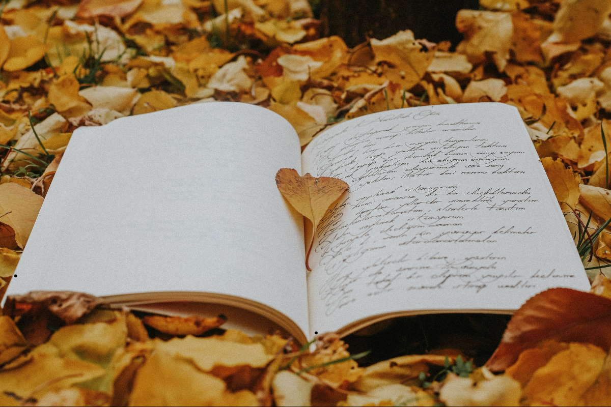 Emily Dickinson and the Poetics of Revelation