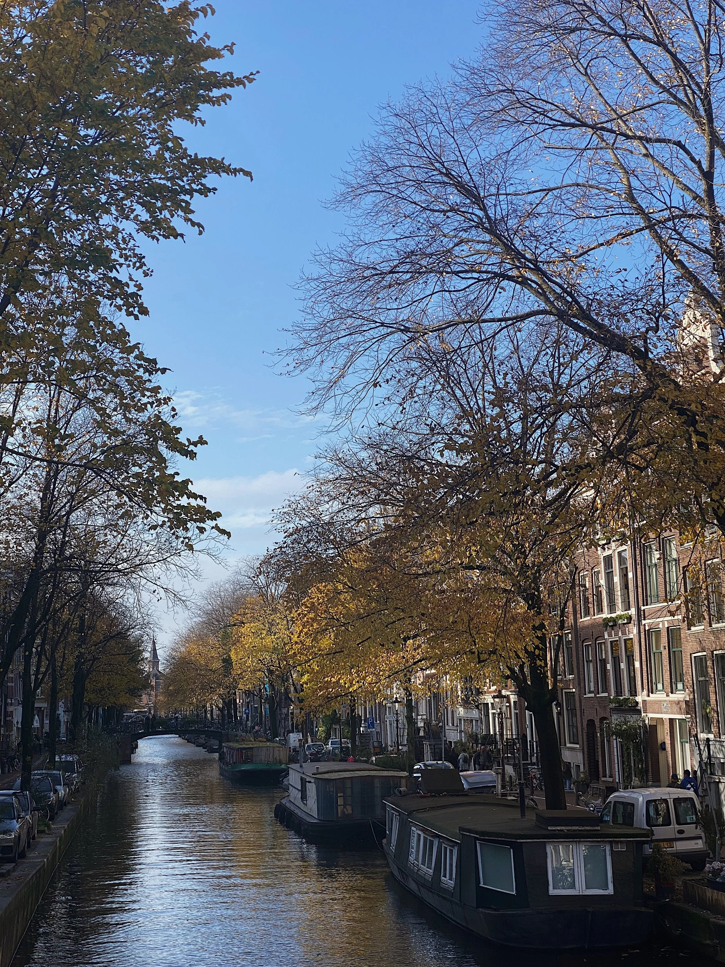 13BC8F84-036F-477A-AF6C-1FD46A48F0B8 2.JPG