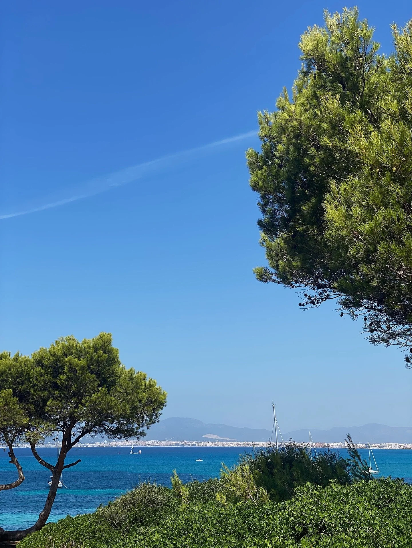 postcards from mallorca