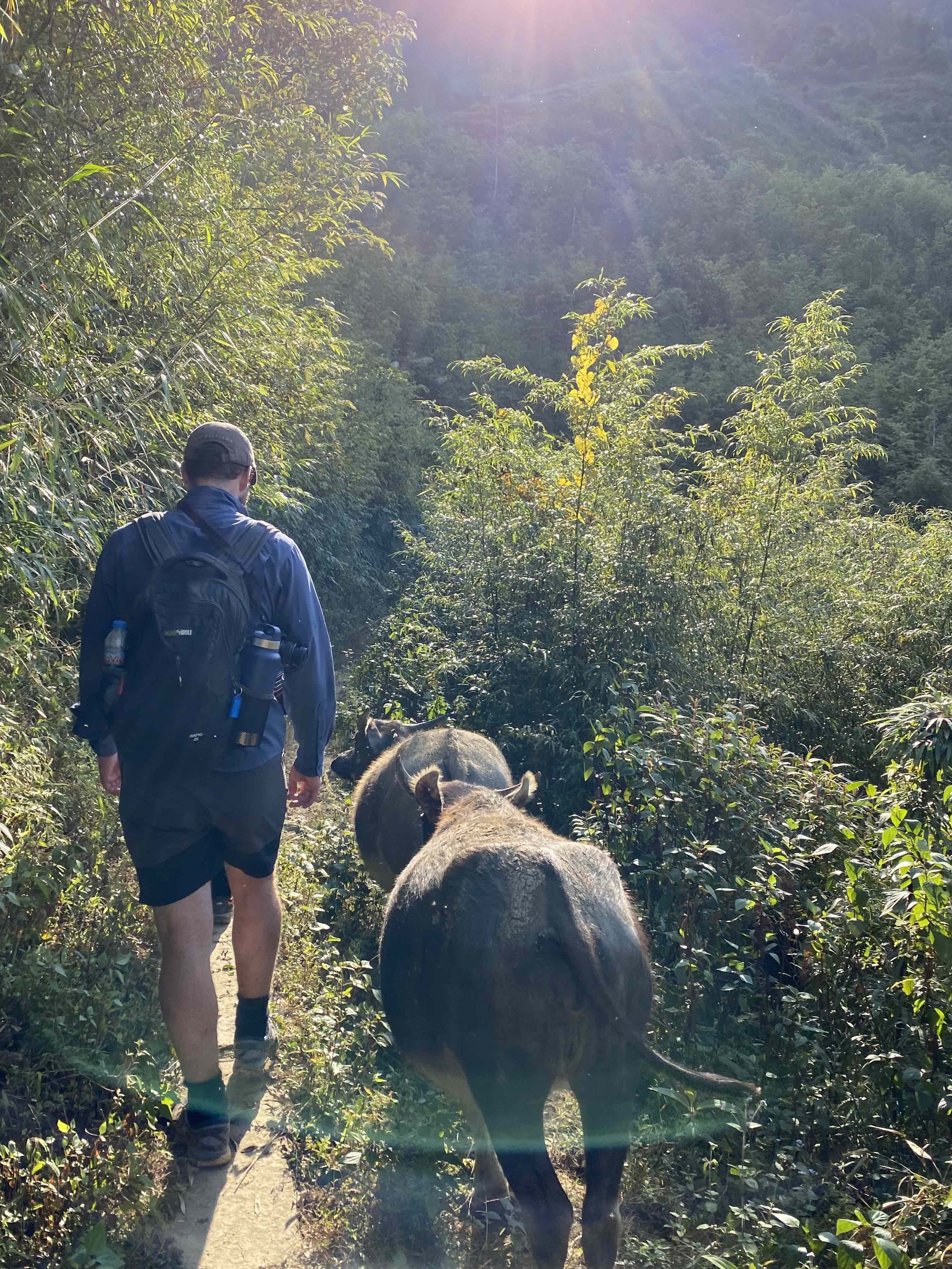 sapa trek 03.jpg