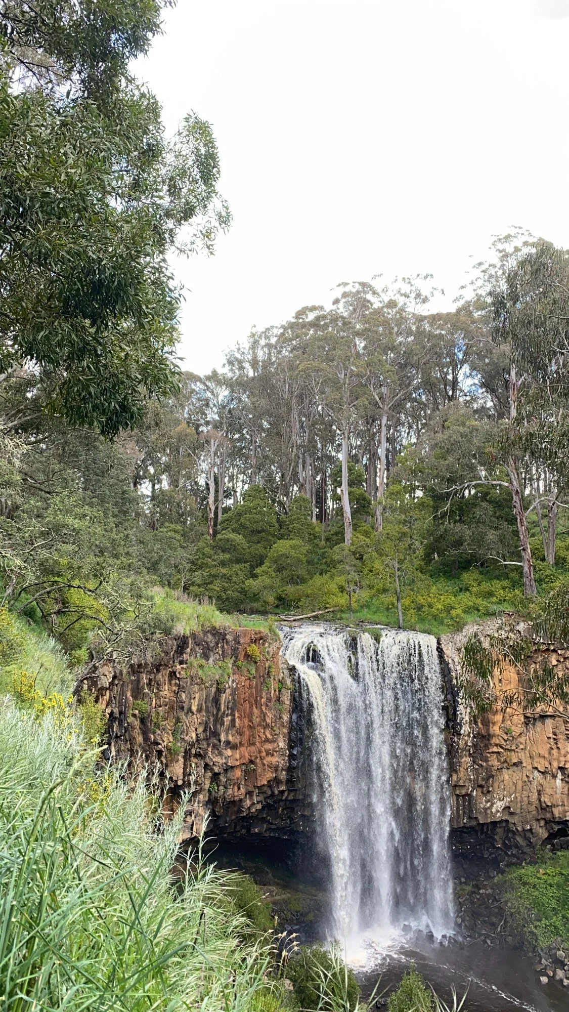trenthamwaterfall1.JPG