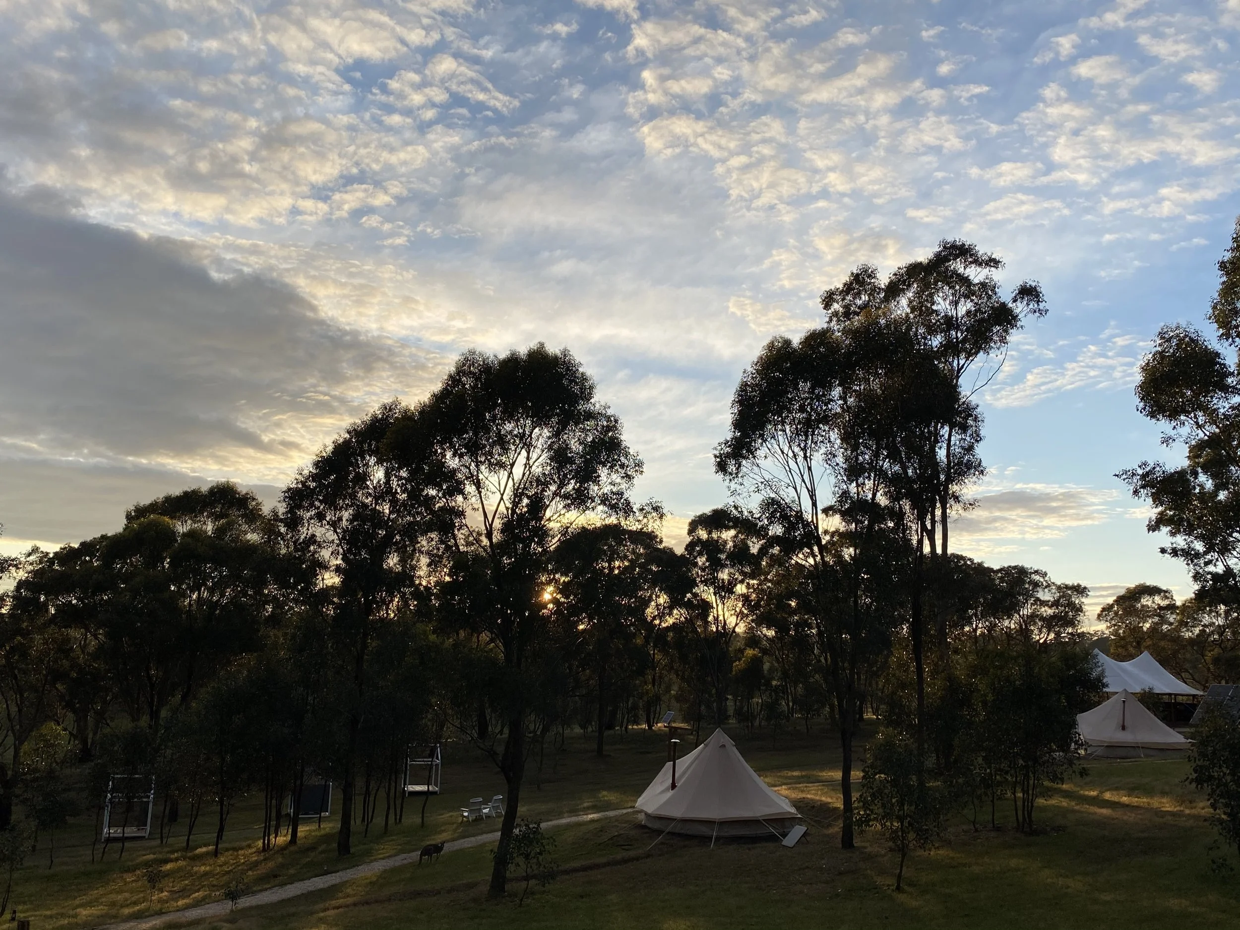 cosytenets_daylesford04.jpg