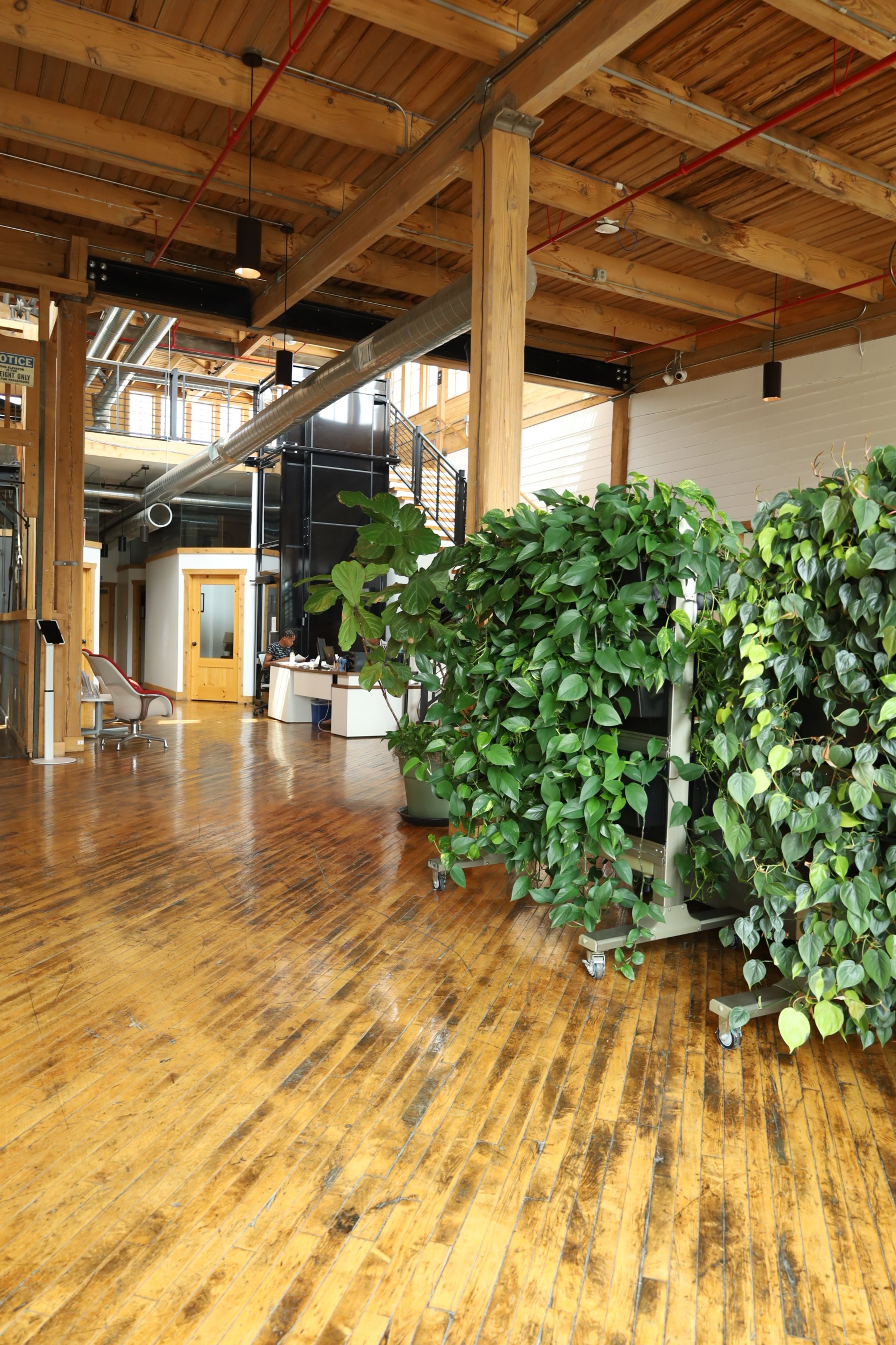 Open office space with wooden floors and ceiling, large green plants, desk area, and modern industrial design elements.