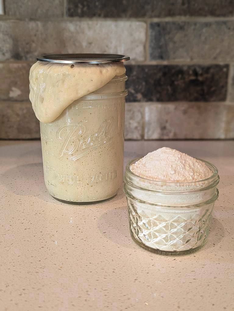 Sourdough Starter