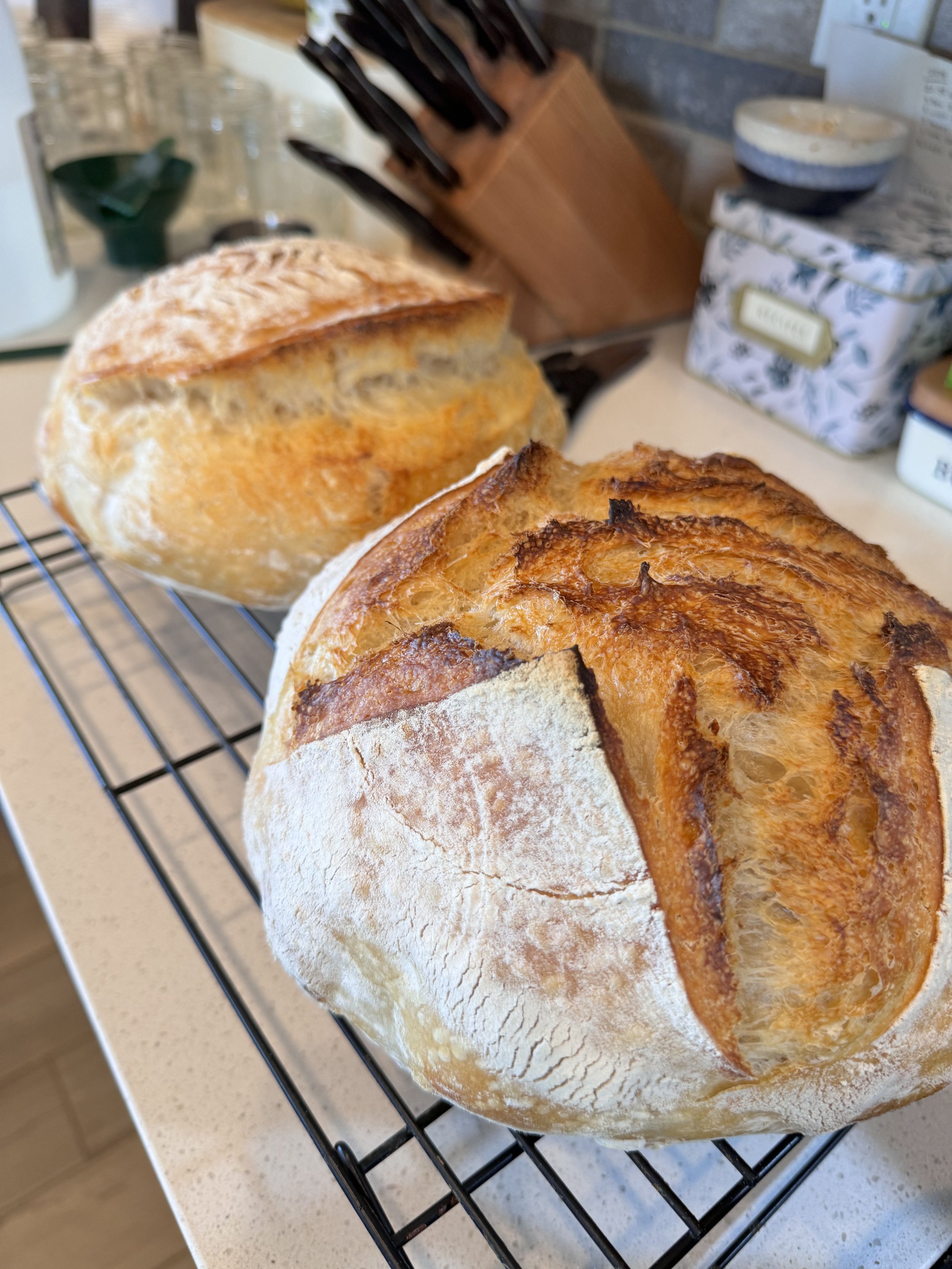 Sourdough Loaf