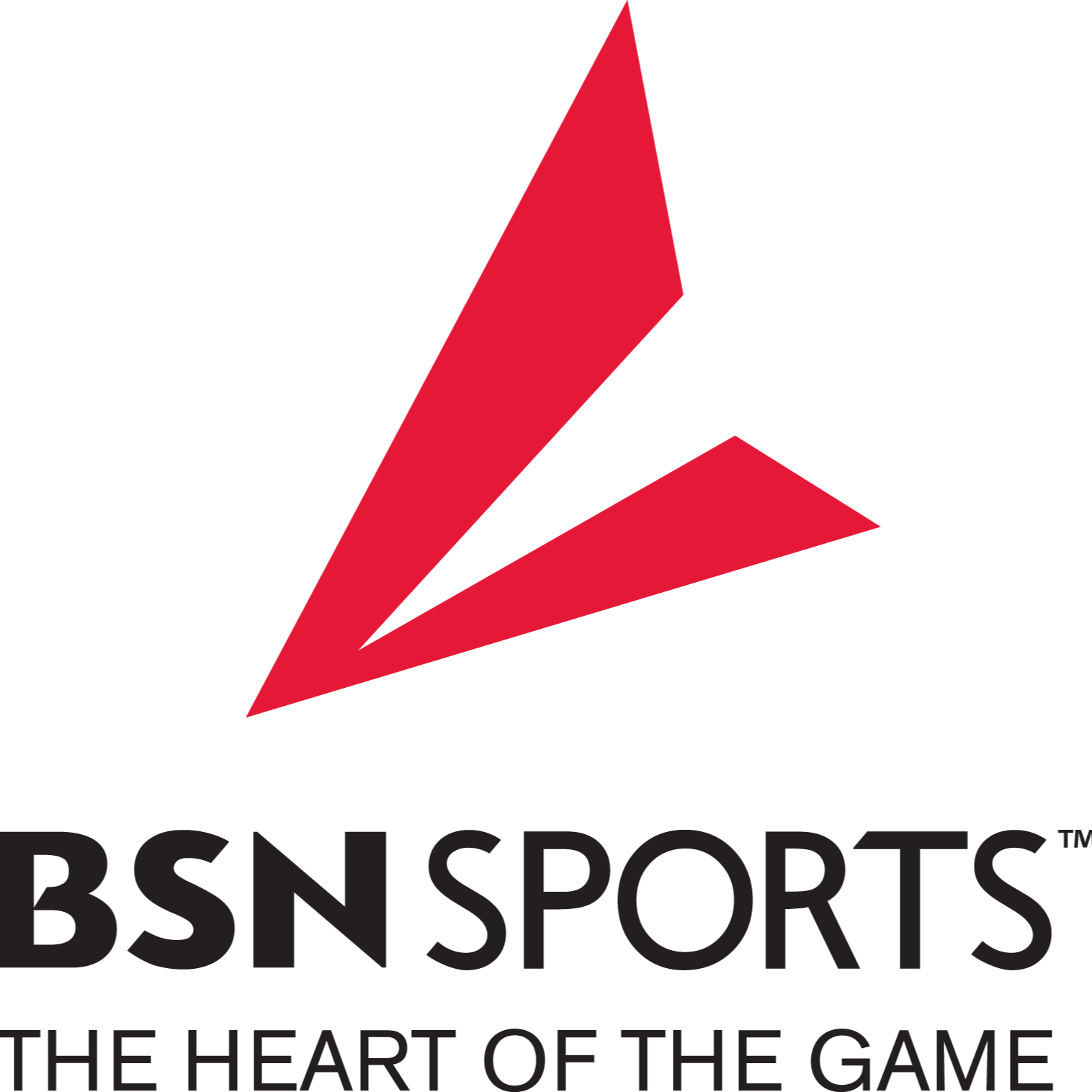 BSN-SPORTS-Logo-Black.png