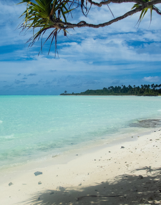 Science in Action on Tetiaroa: Advancing Climate Resilience &amp; Land–Sea Connectivity