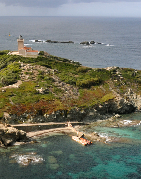 International Conservation Collective Grows, Building Global Ecological Resilience