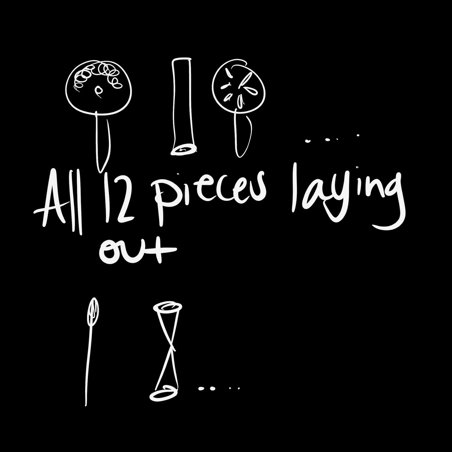 All 12 pieces.jpg
