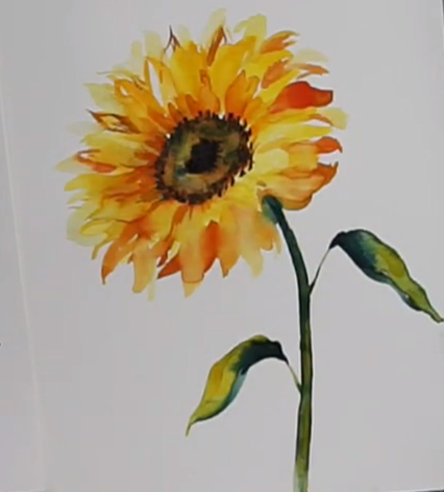 Snapshots of Italy- Color Theory + Sunflower