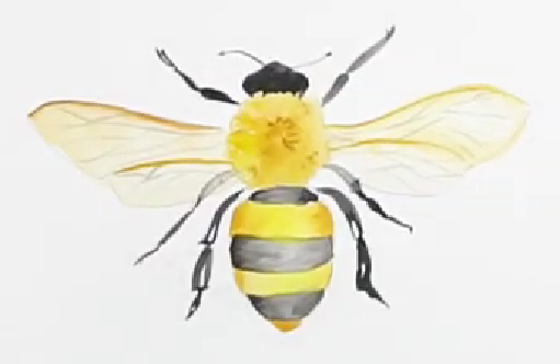 Snapshots of Italy- Honey Bee 