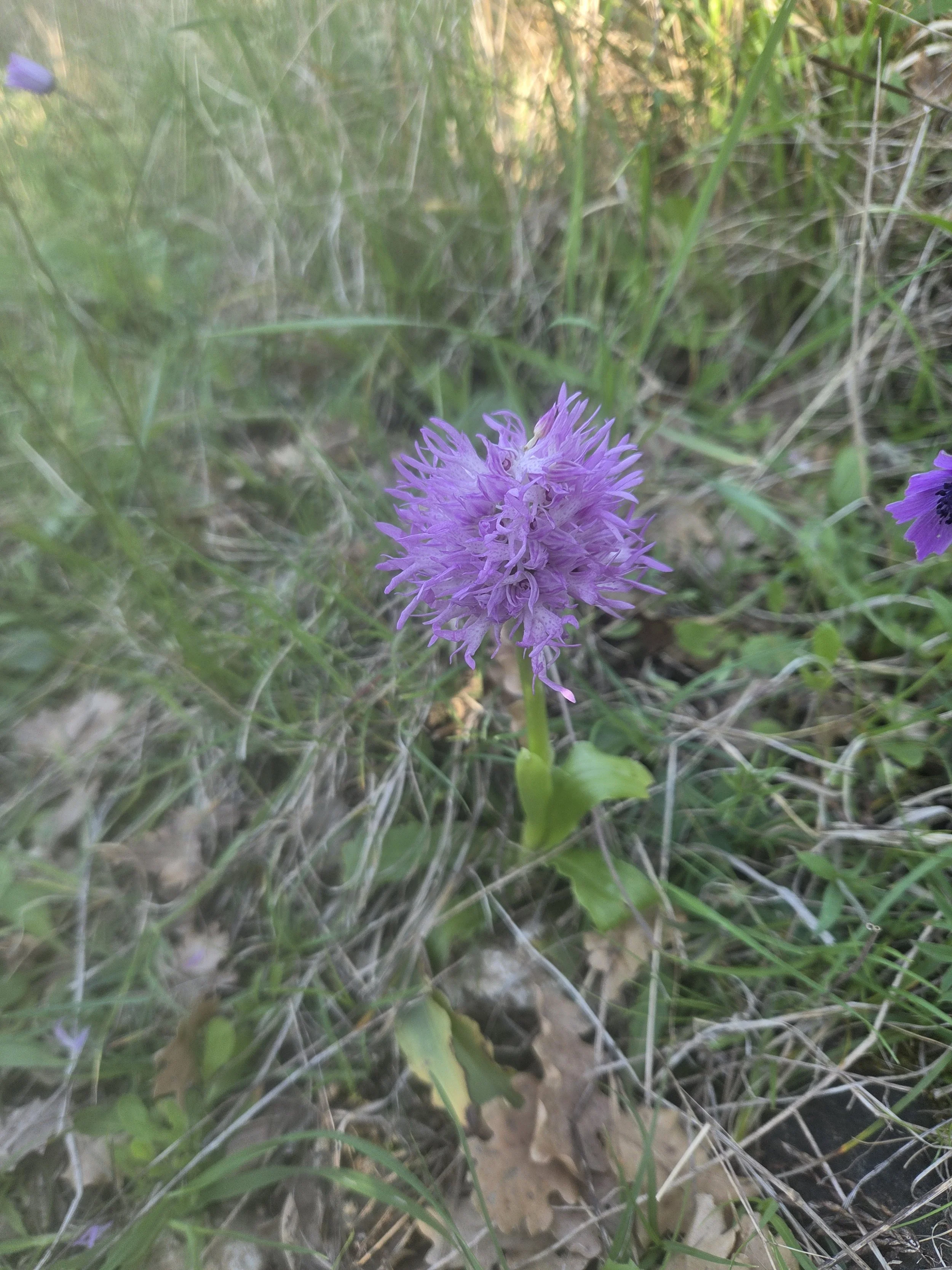 20260409_160611.jpg