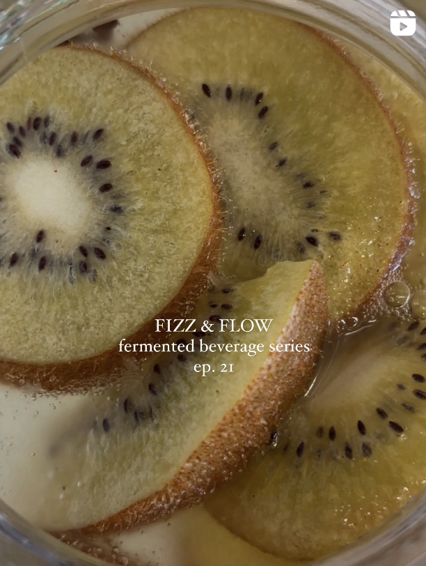 Close-up of sliced kiwi fruit in a fermented beverage, with bubbles around the slices.