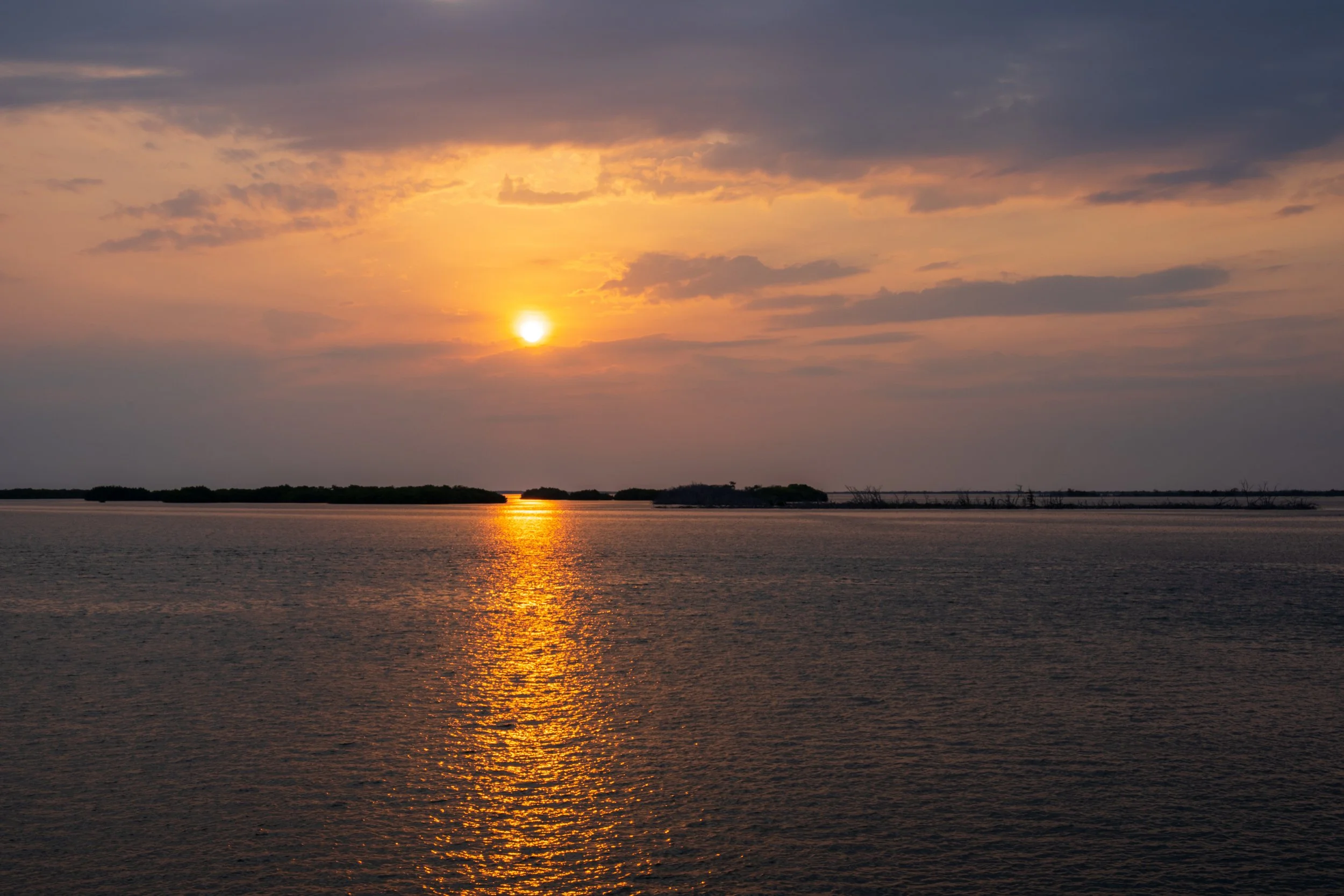 DSC09623.jpg