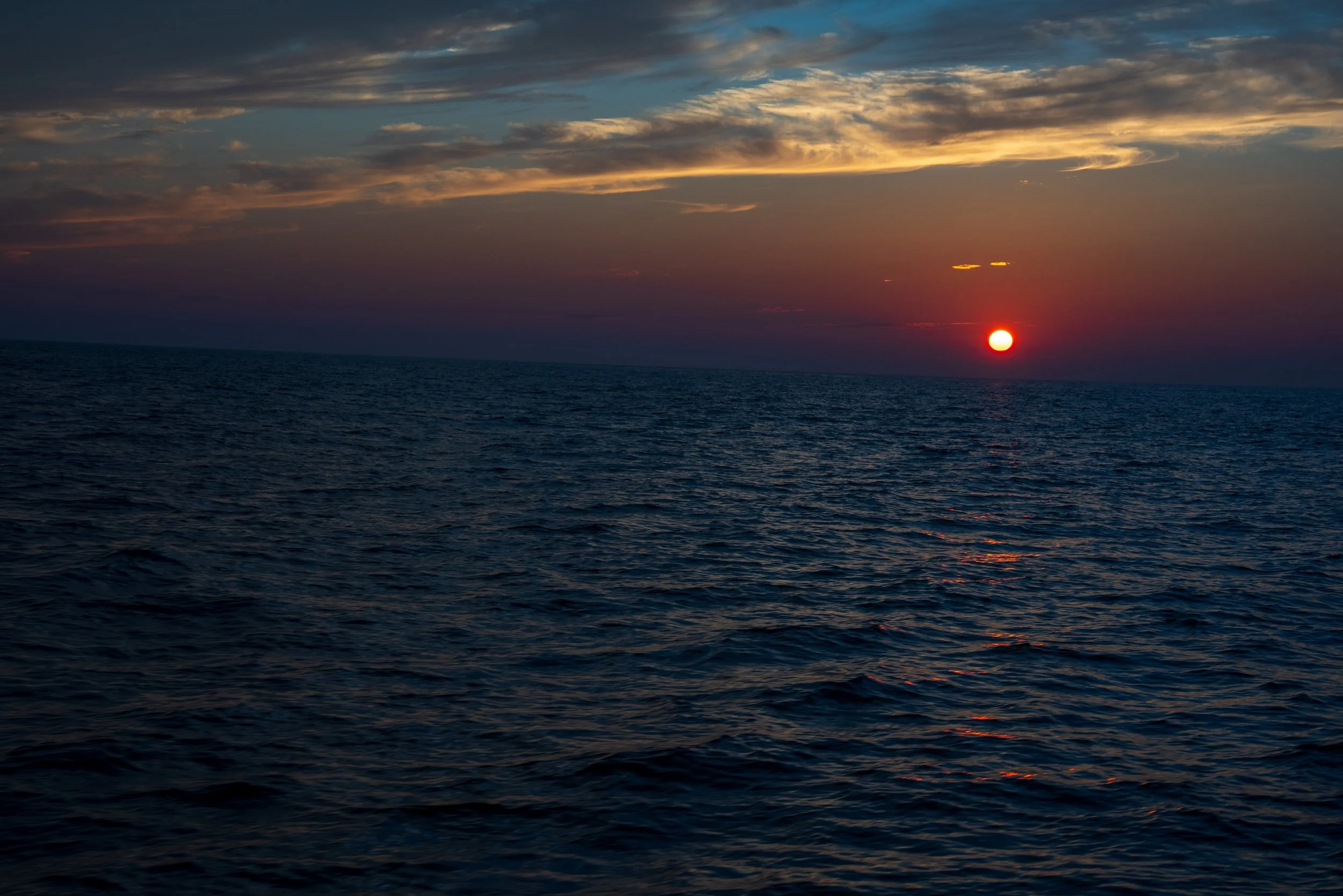 DSC05454.jpg