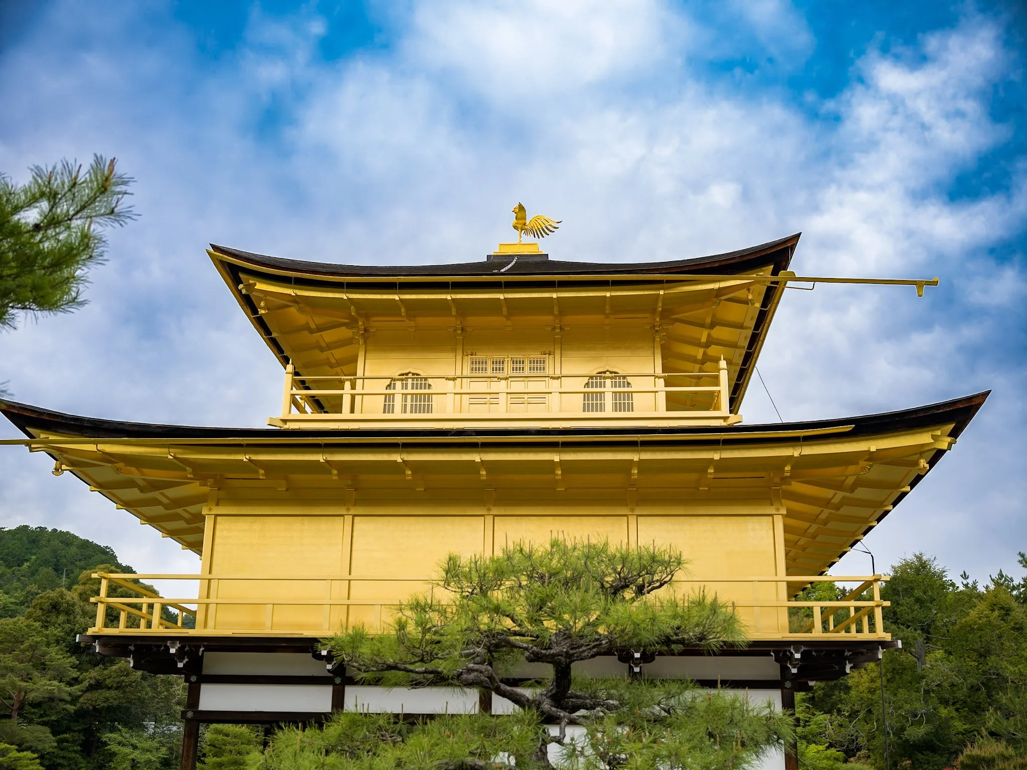 jp-d6d038b1b4e3.jpg