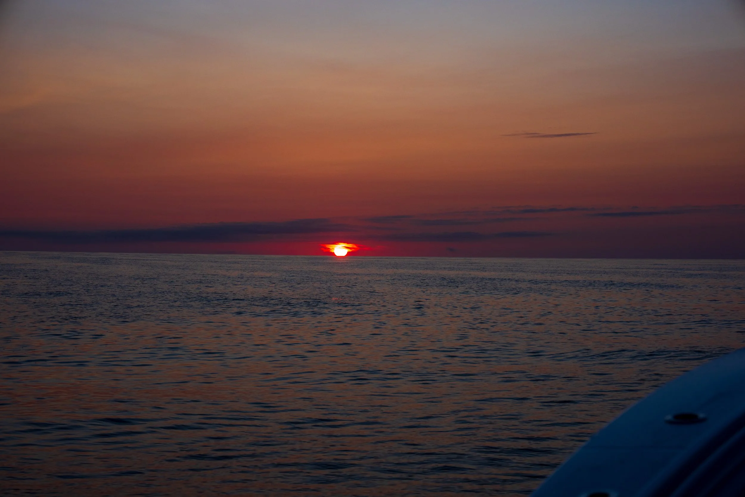 DSC05194.jpg