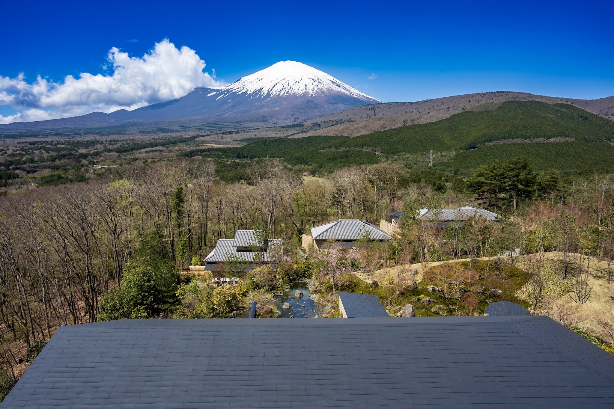 jp-d1210869245a.jpg