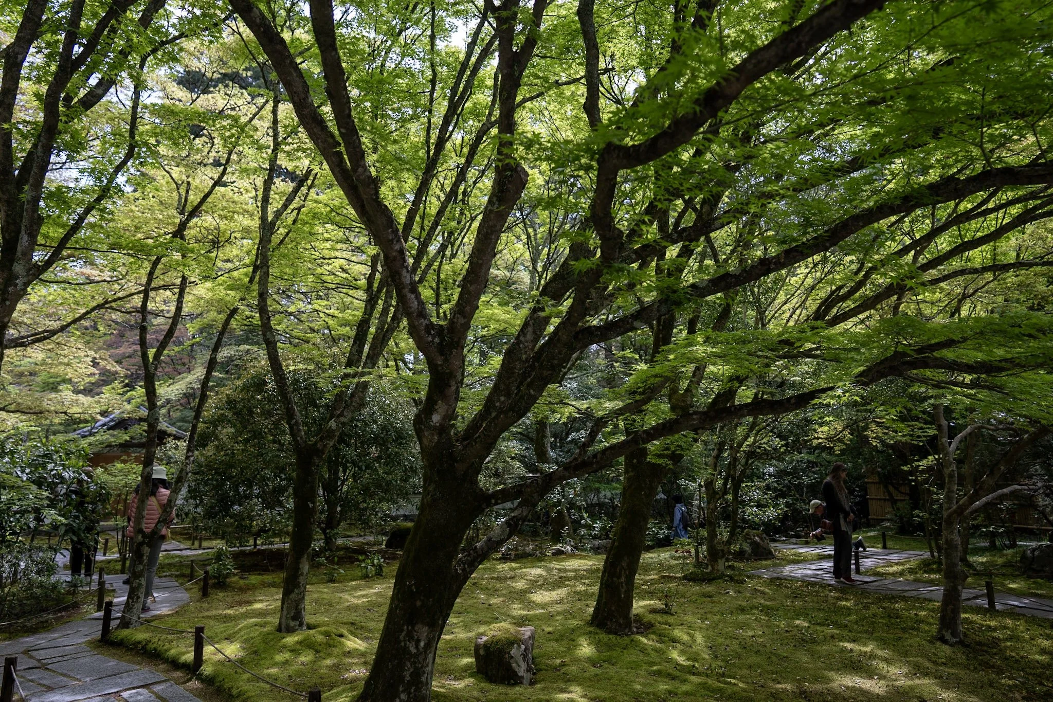 jp-05001015e09b.jpg