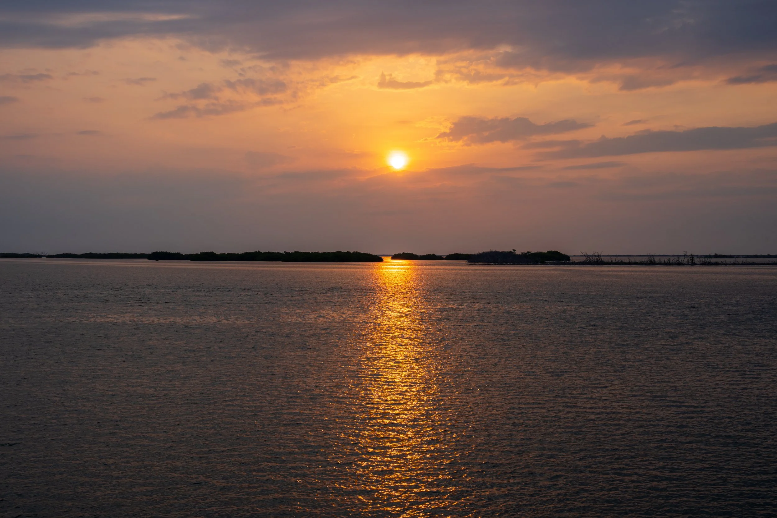 DSC09620.jpg