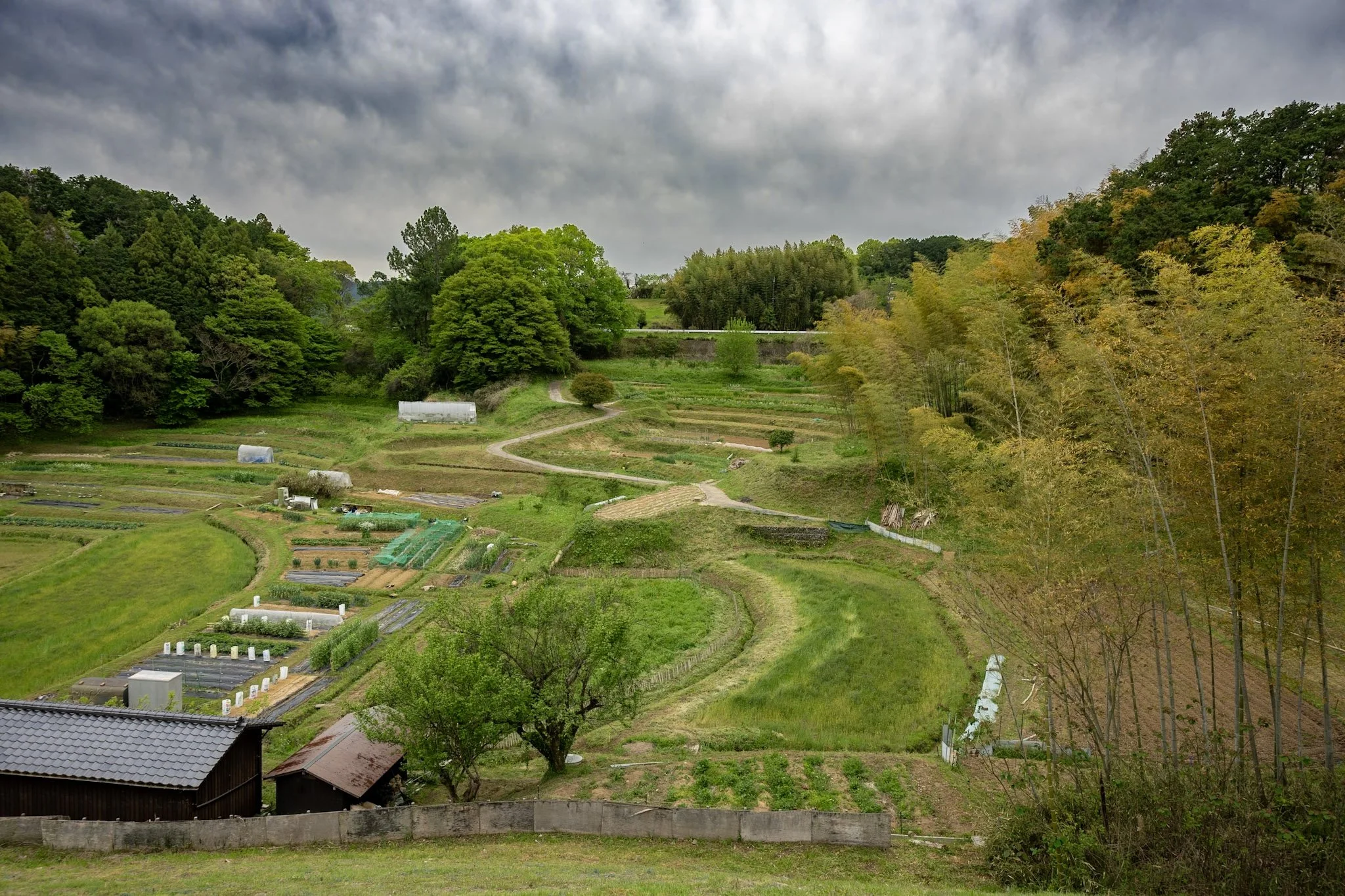 Temples, stone monuments, terraced countryside and waterfalls around Nara and Asuka