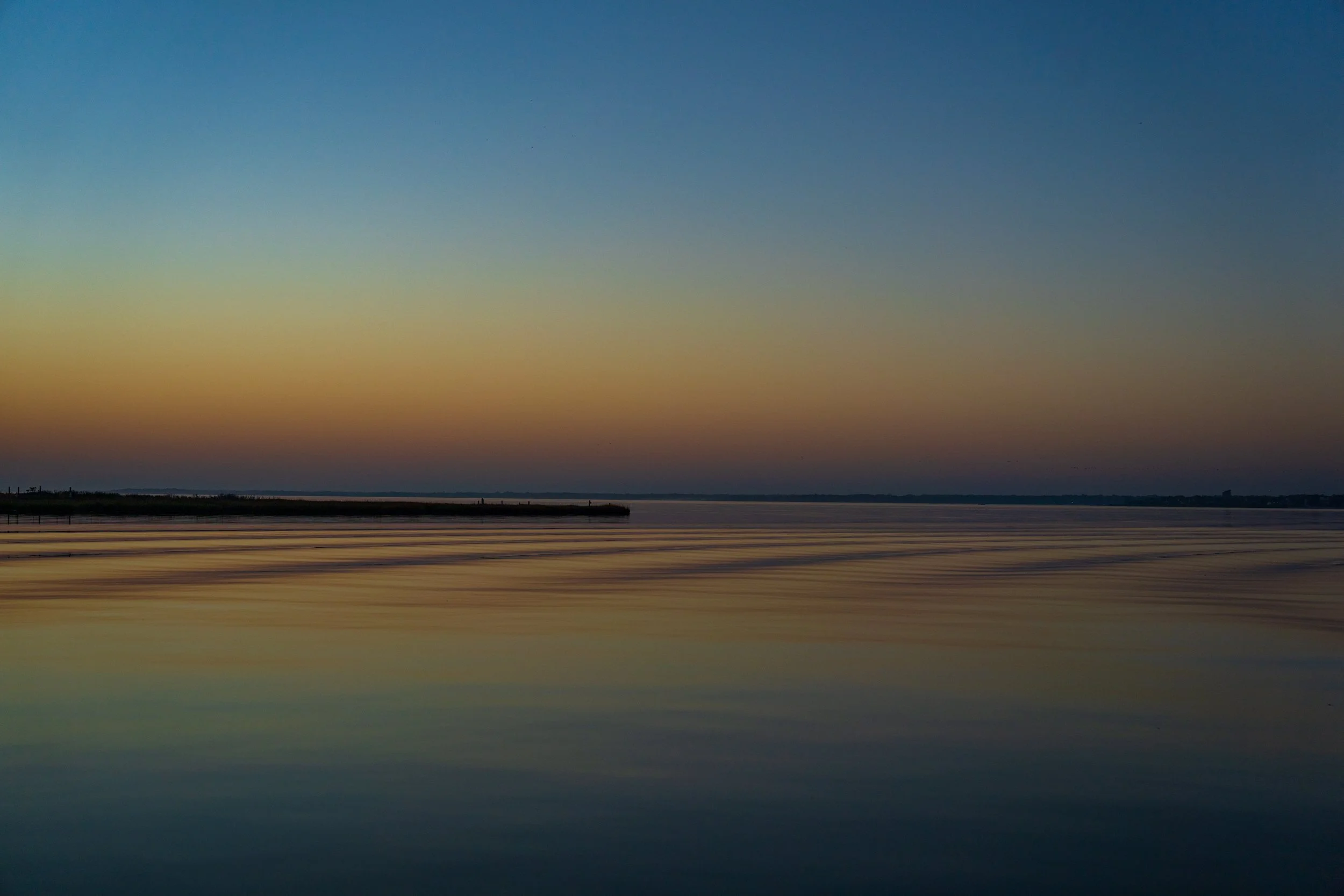 DSC07110.jpg
