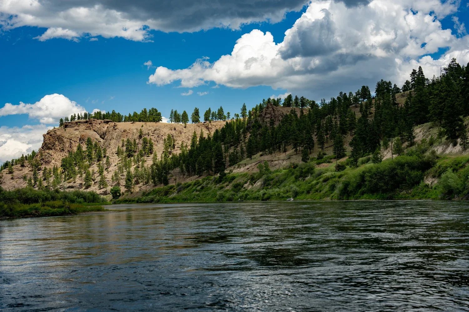 Montana