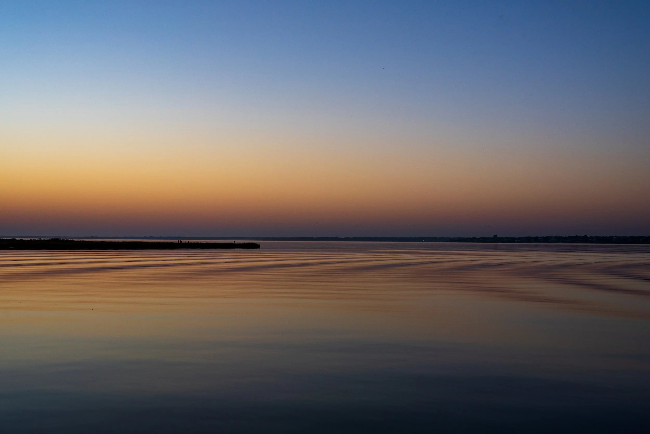 DSC07113.jpg