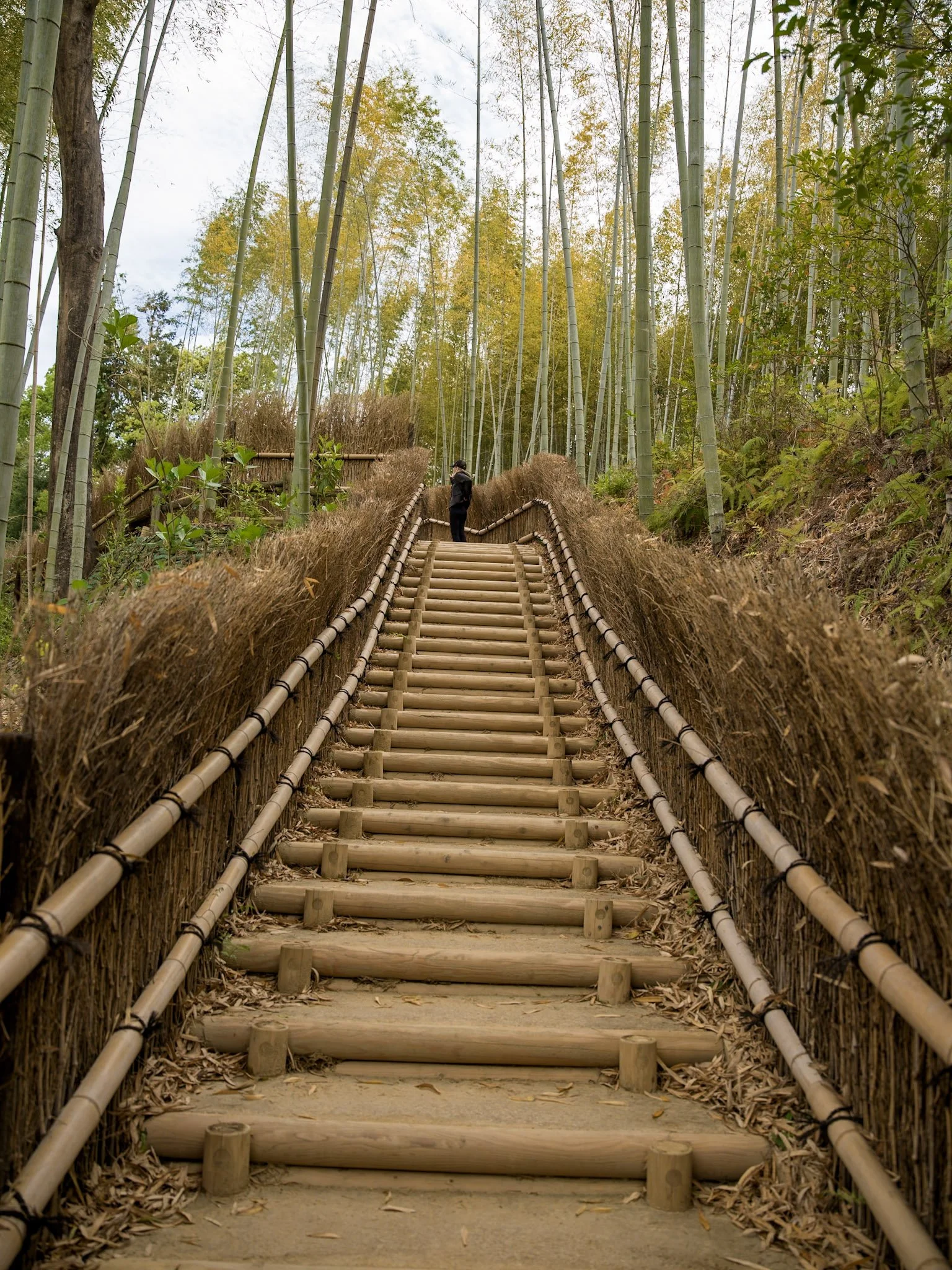 Temples, stone monuments, terraced countryside and waterfalls around Nara and Asuka