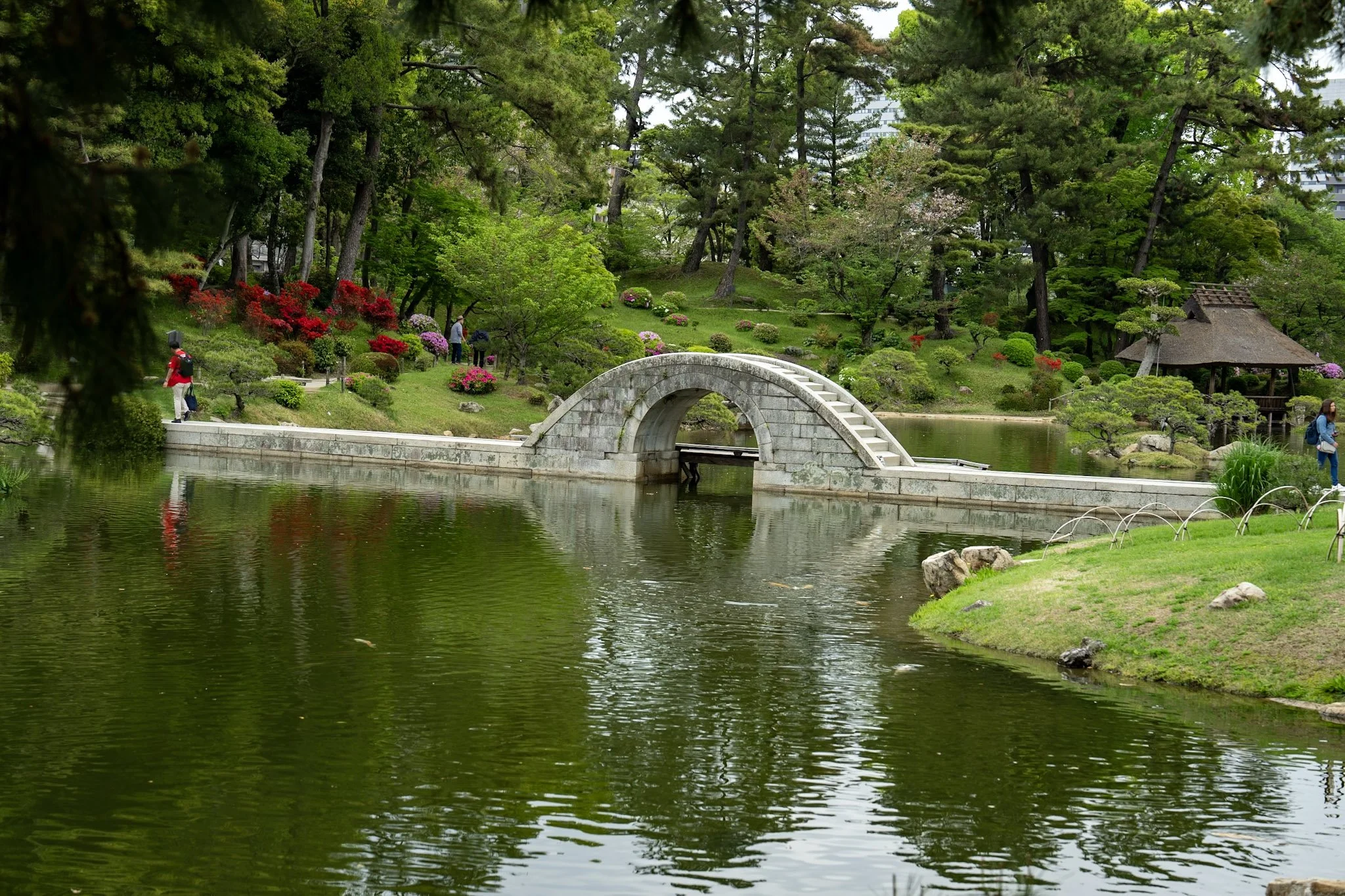 jp-d96974c6fa28.jpg
