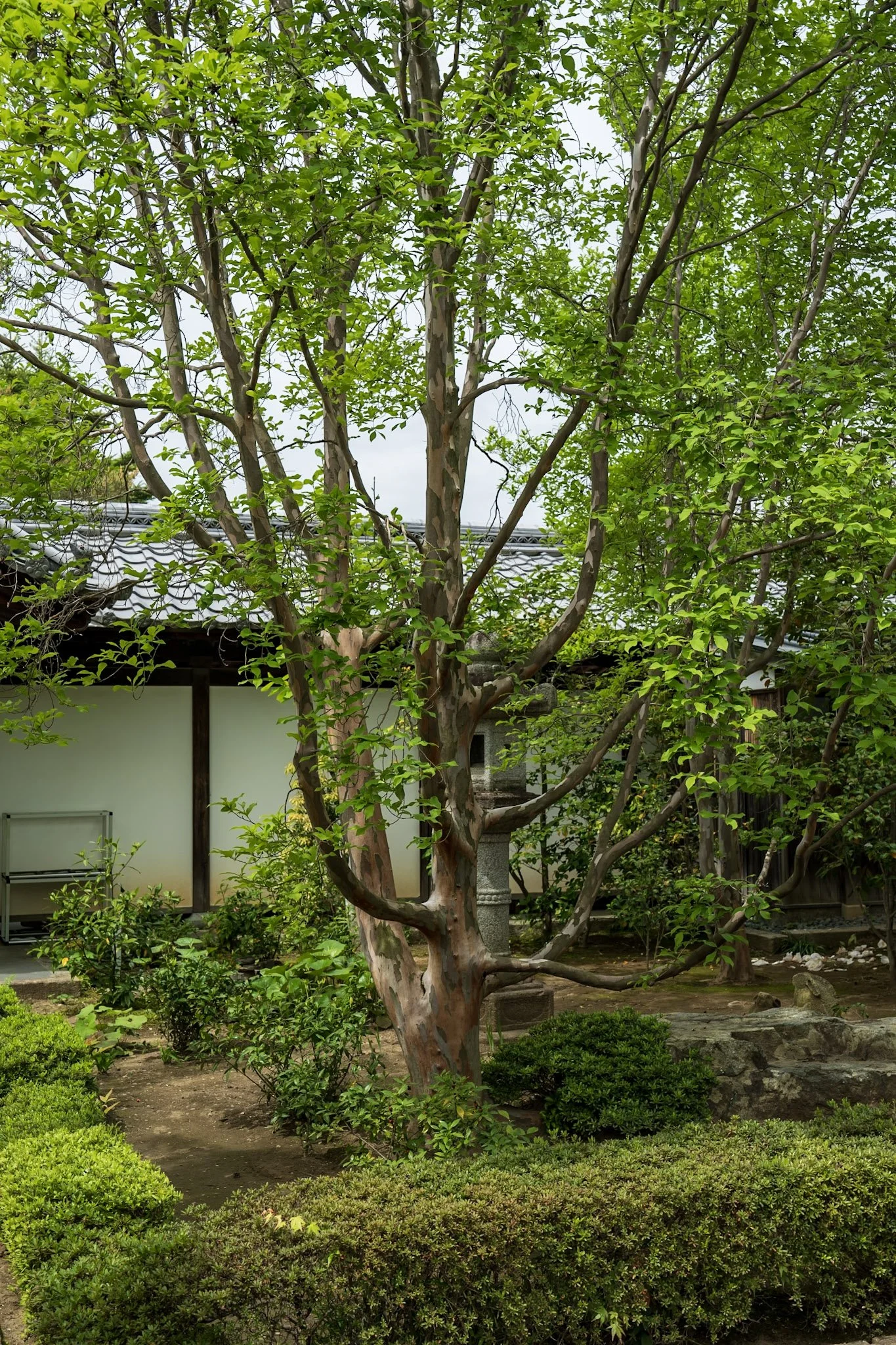 jp-2c02b8850941.jpg