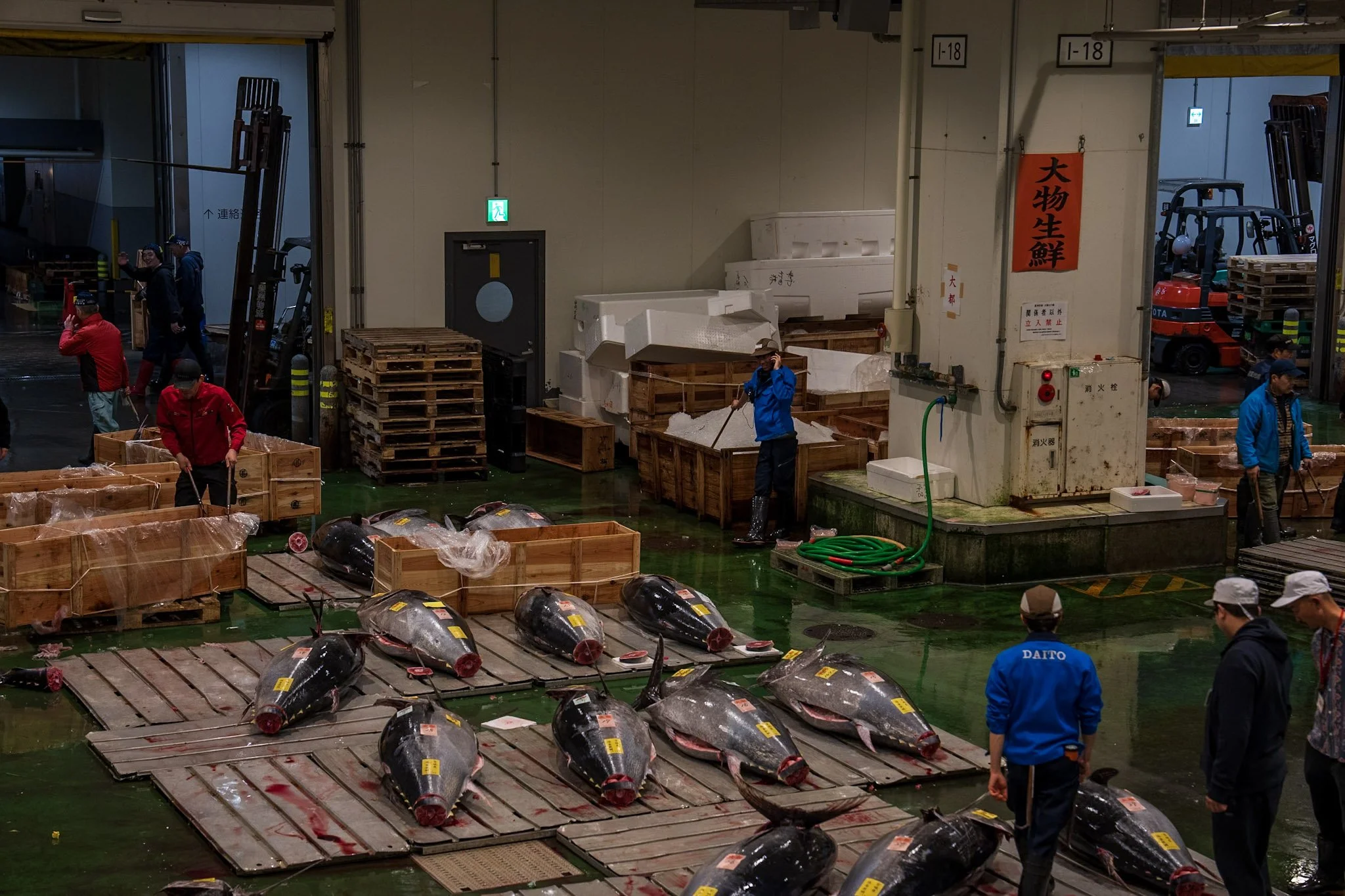 jp-57f8d3210ca5.jpg