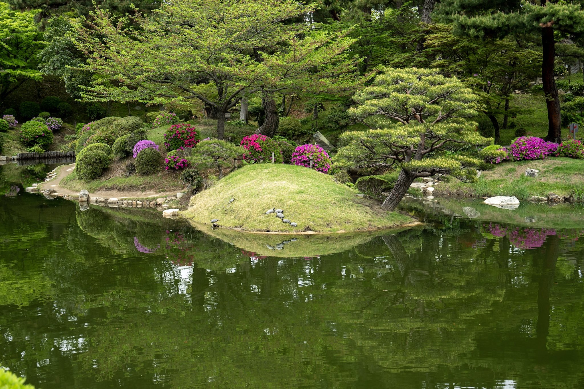 jp-c0693bdd07f7.jpg