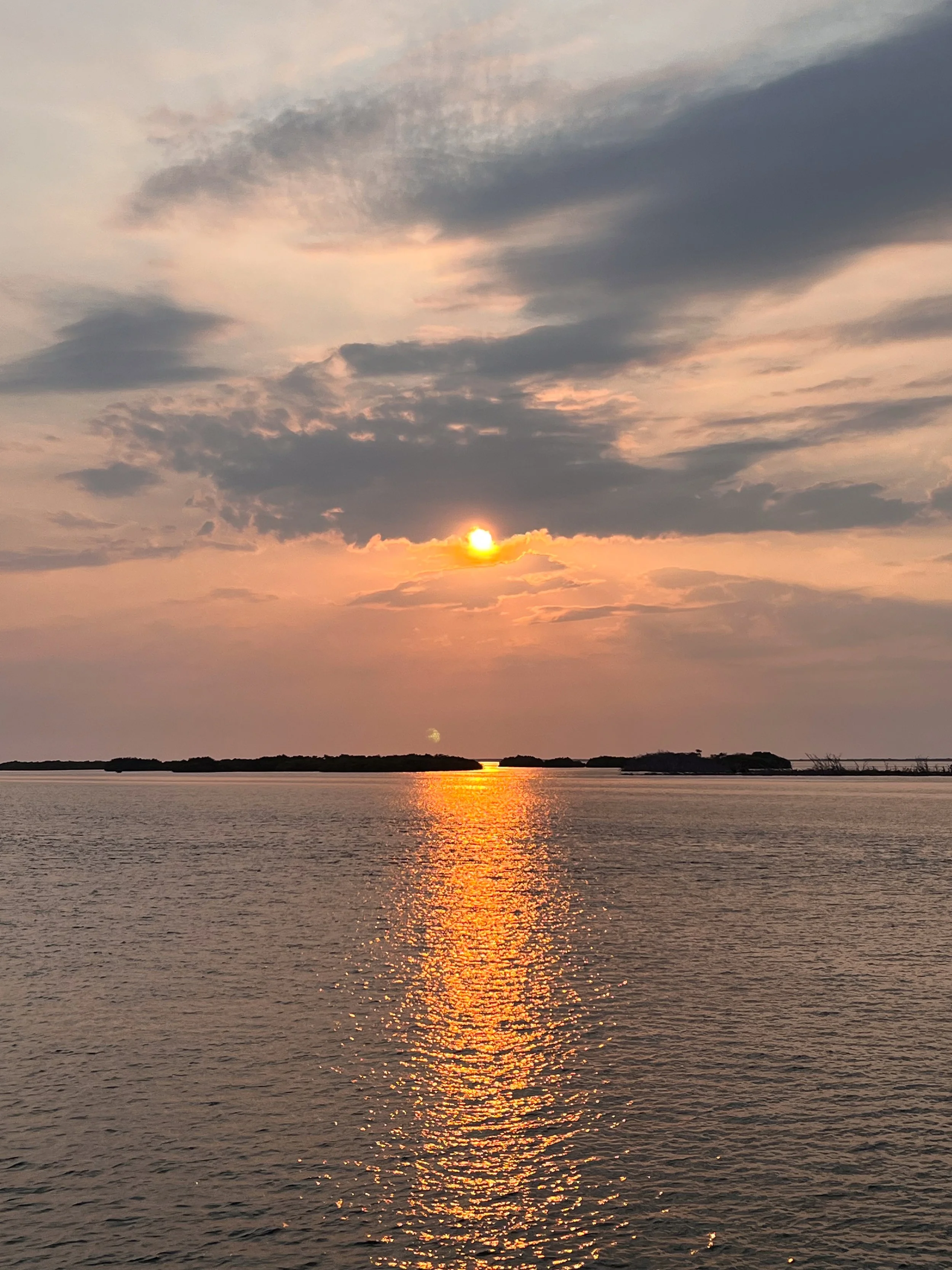 IMG_2235-preview.jpg