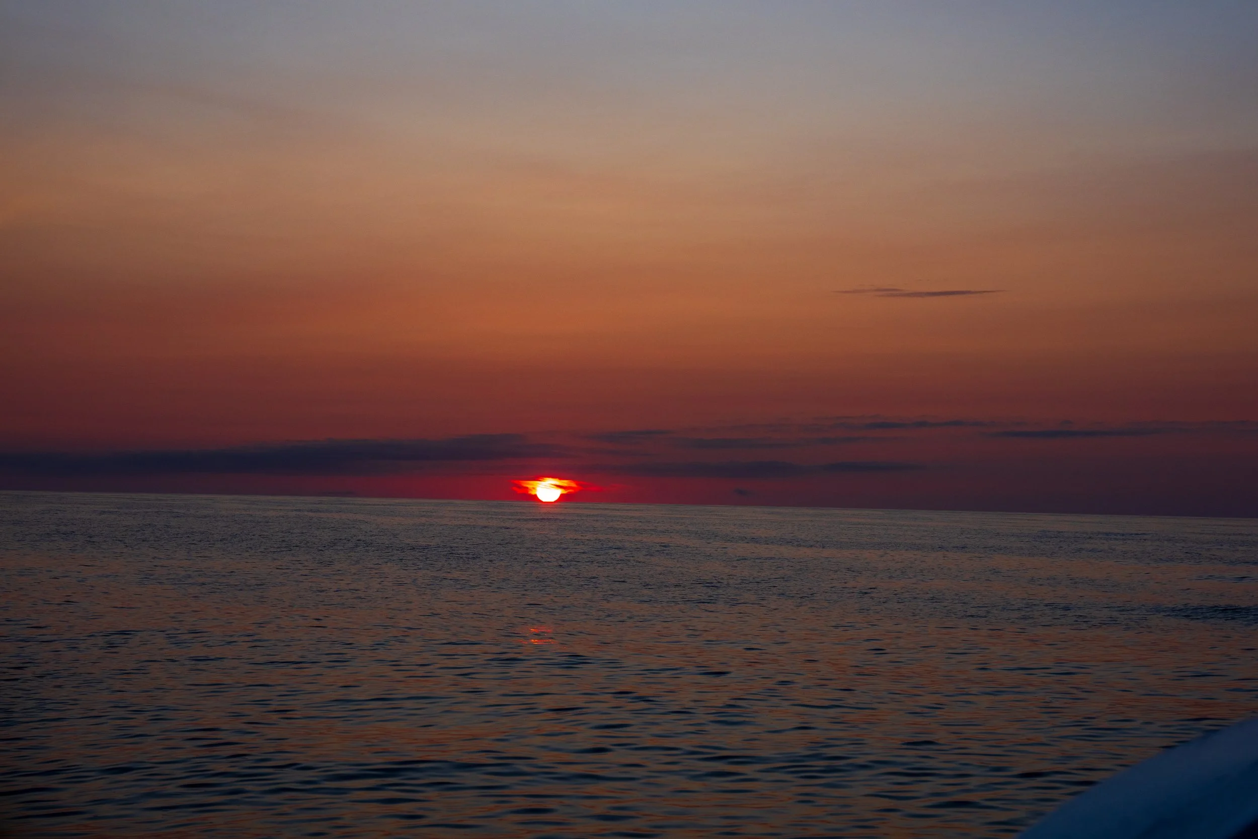 DSC05222.jpg