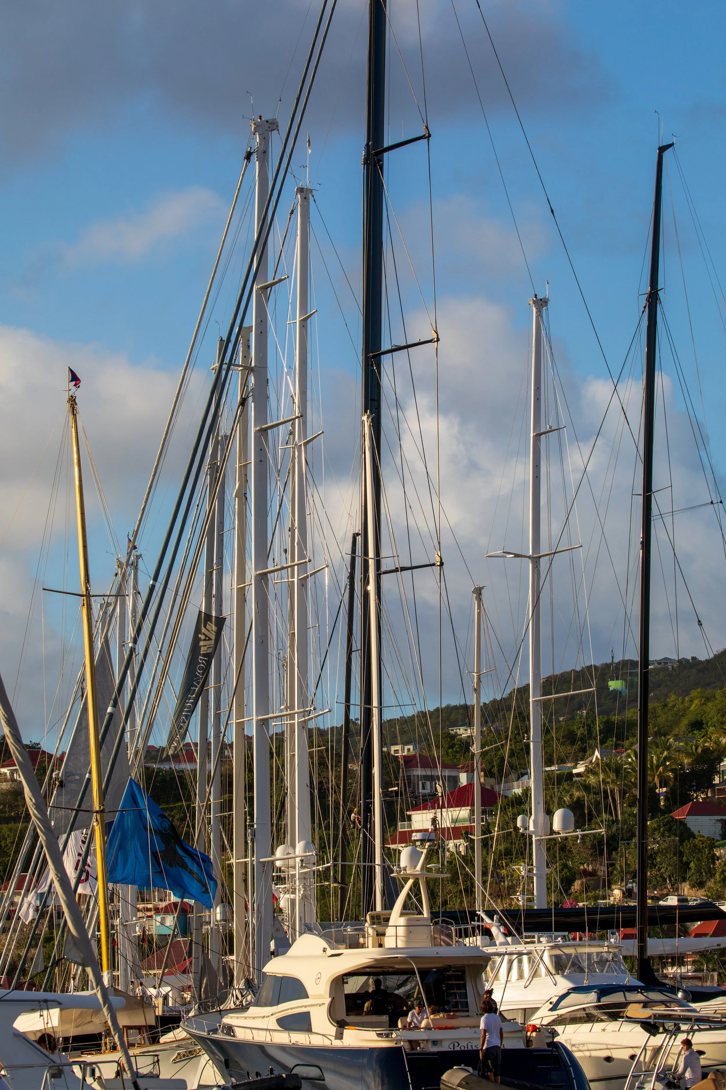 A13A4338.jpg