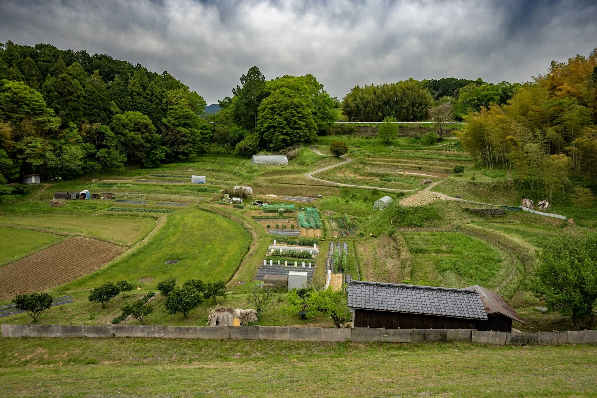 Temples, stone monuments, terraced countryside and waterfalls around Nara and Asuka