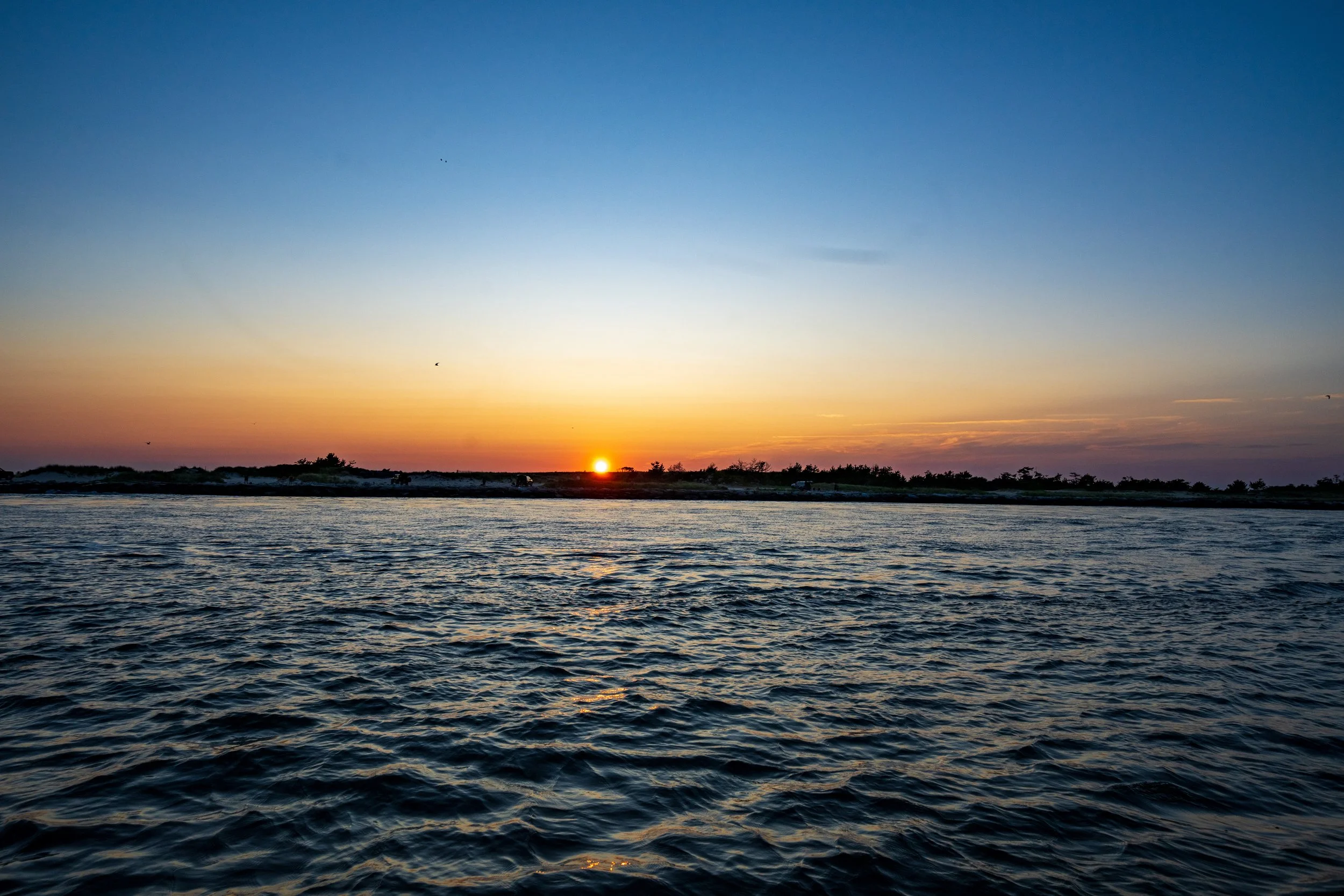 DSC03866.jpg