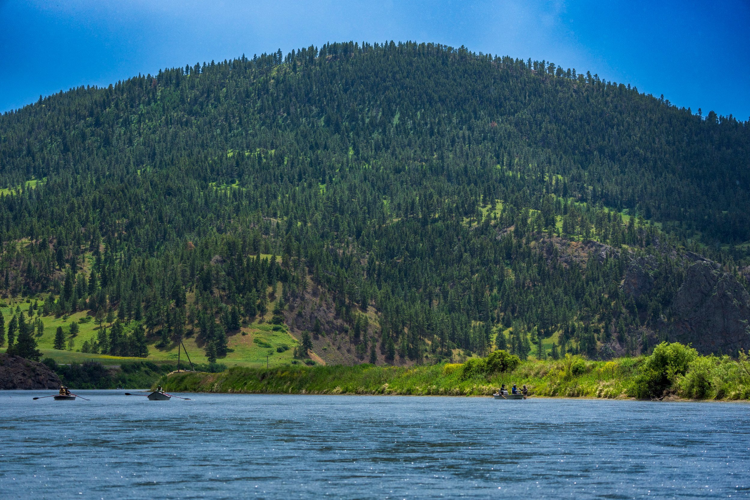 Pine-covered hill above the water, Montana