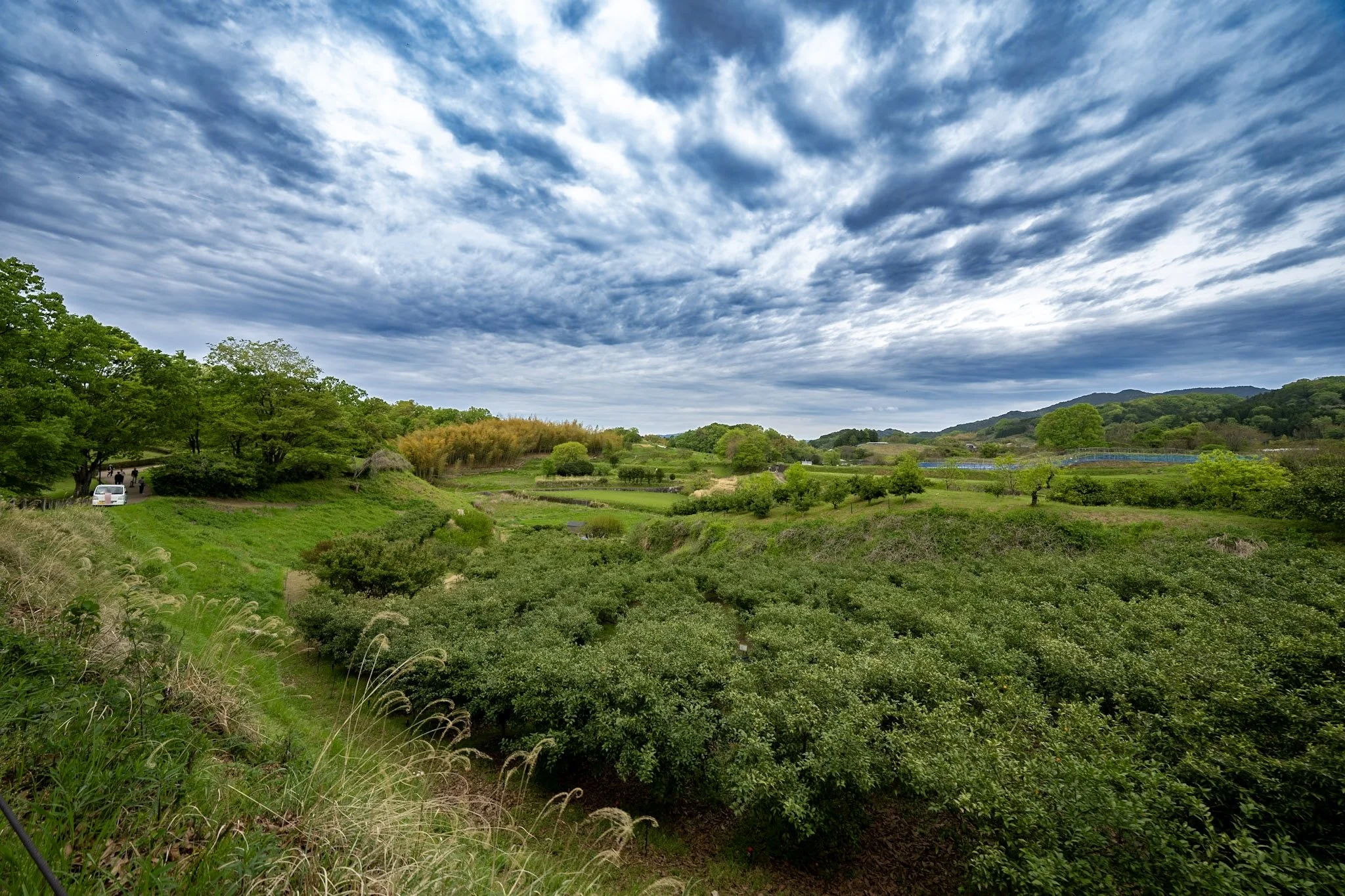 Temples, stone monuments, terraced countryside and waterfalls around Nara and Asuka