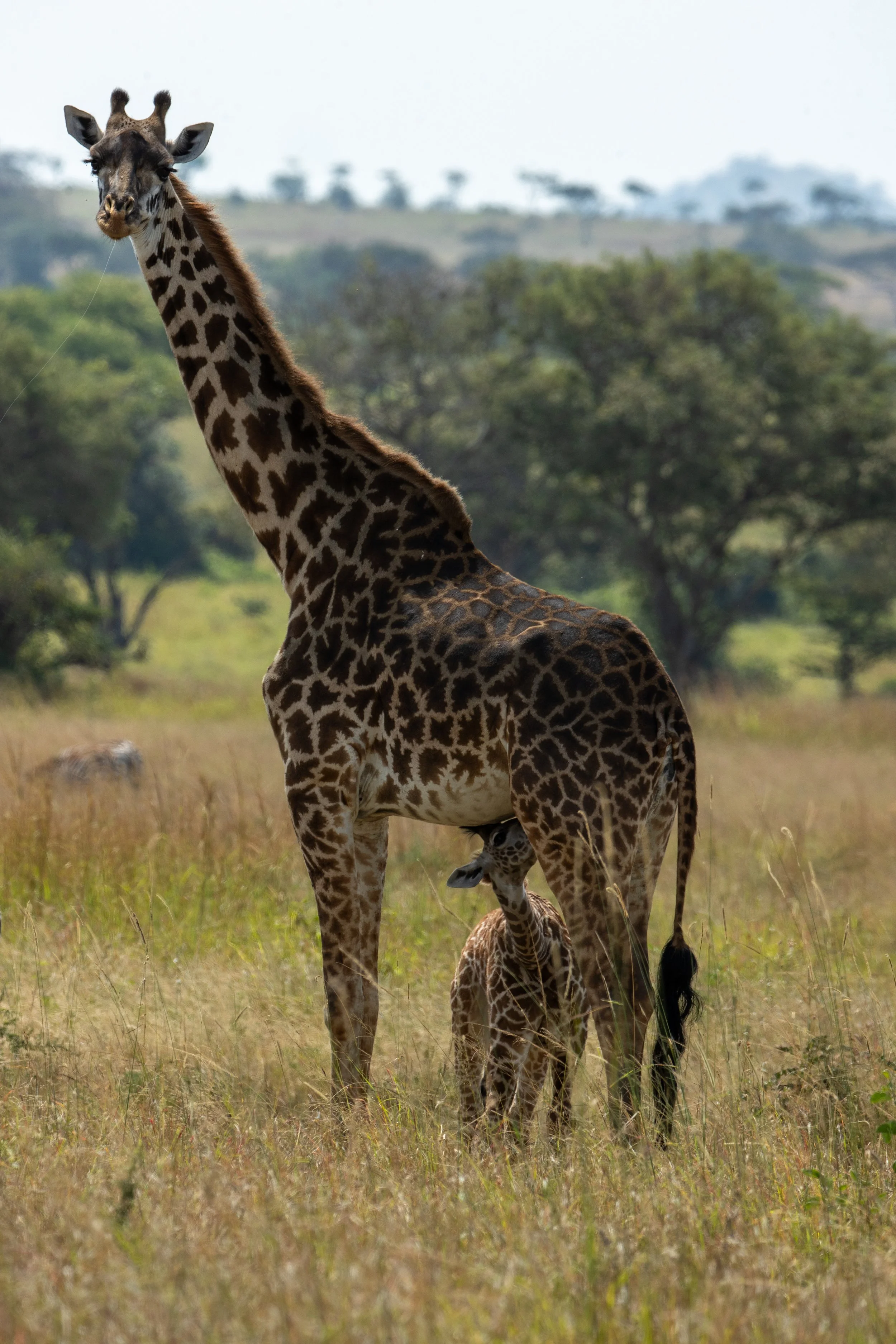 C02I5356.jpg