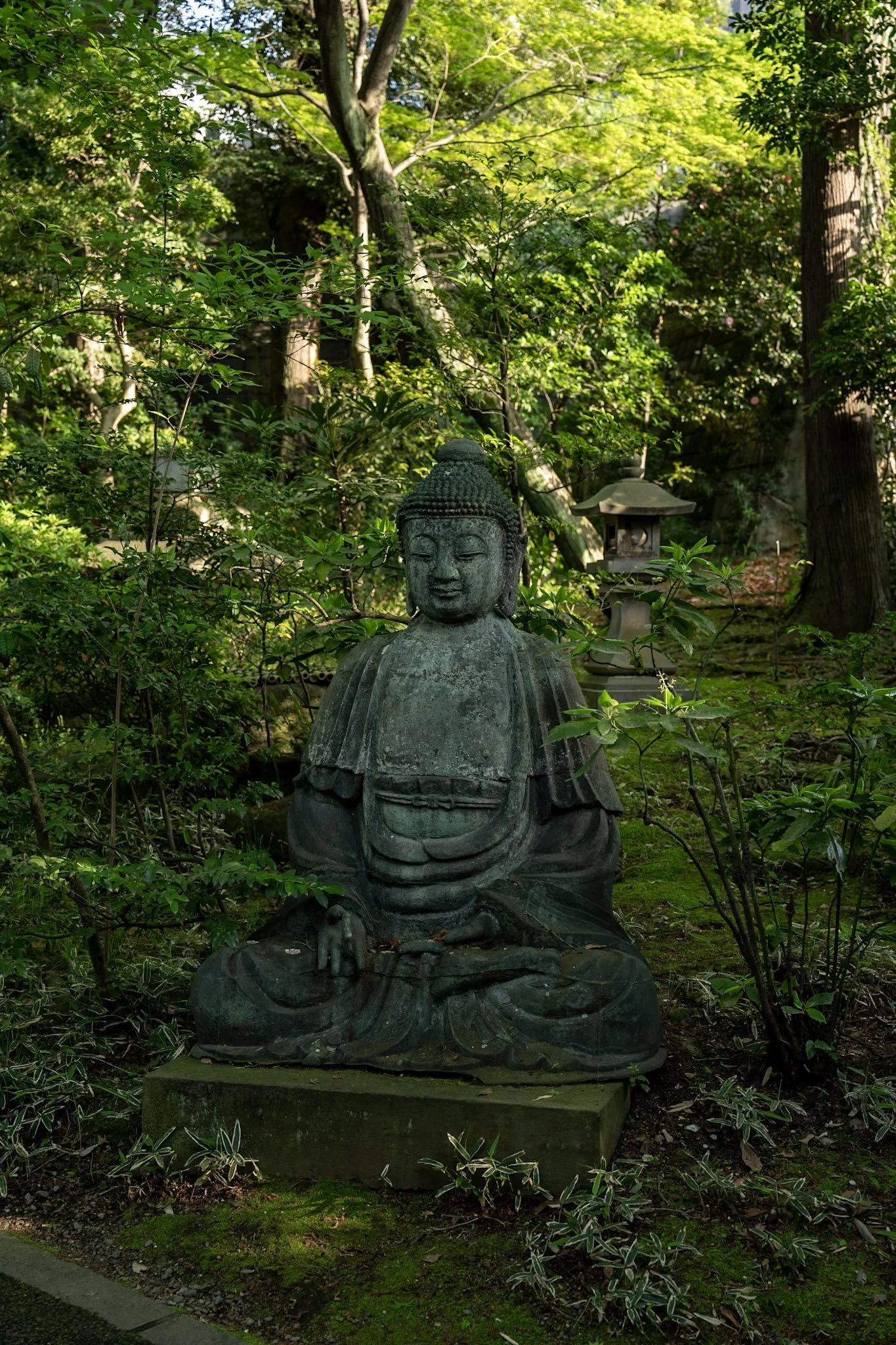 jp-ce6117c6316f.jpg
