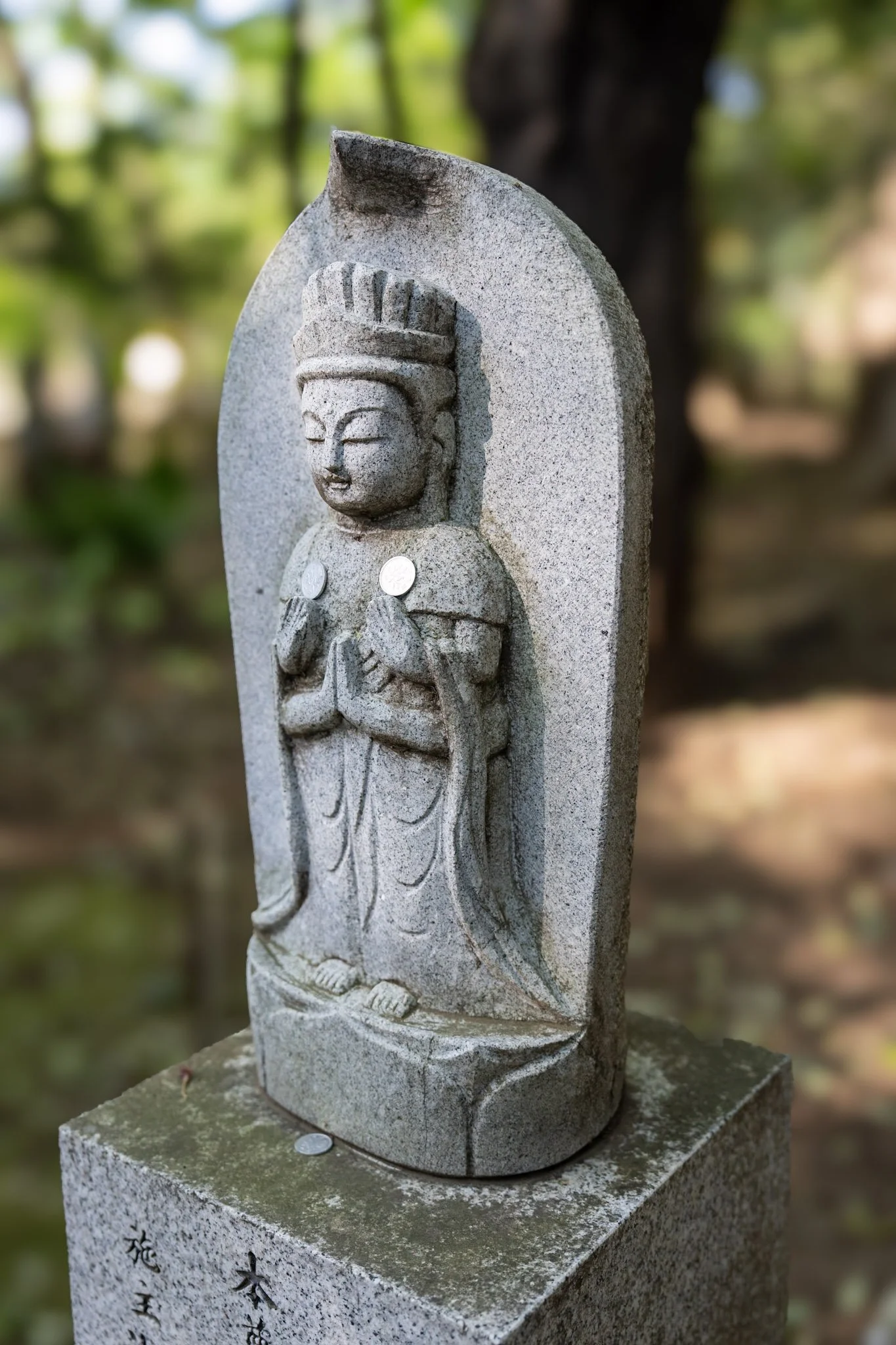 jp-fcd5f9101fe2.jpg