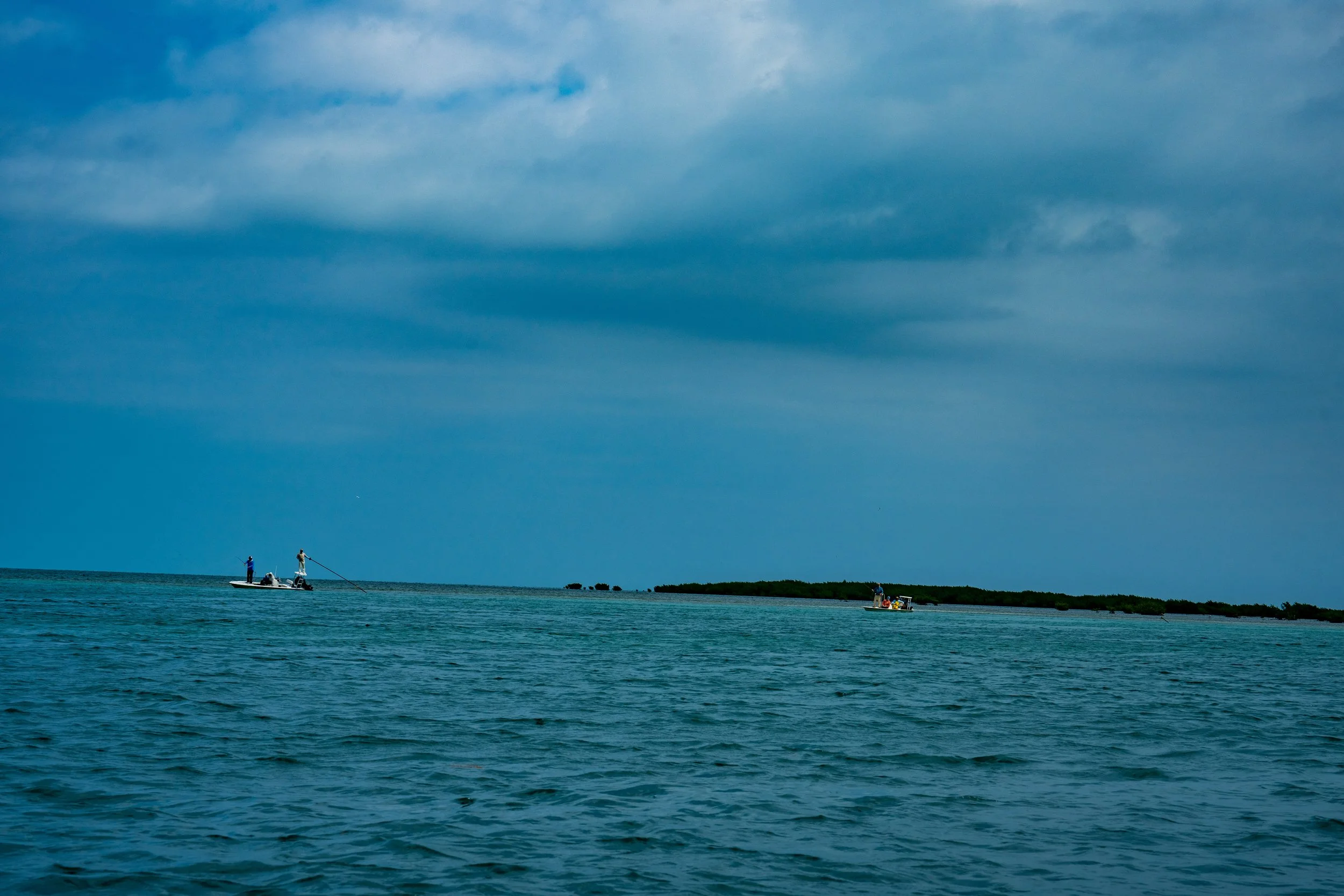 DSC09255.jpg