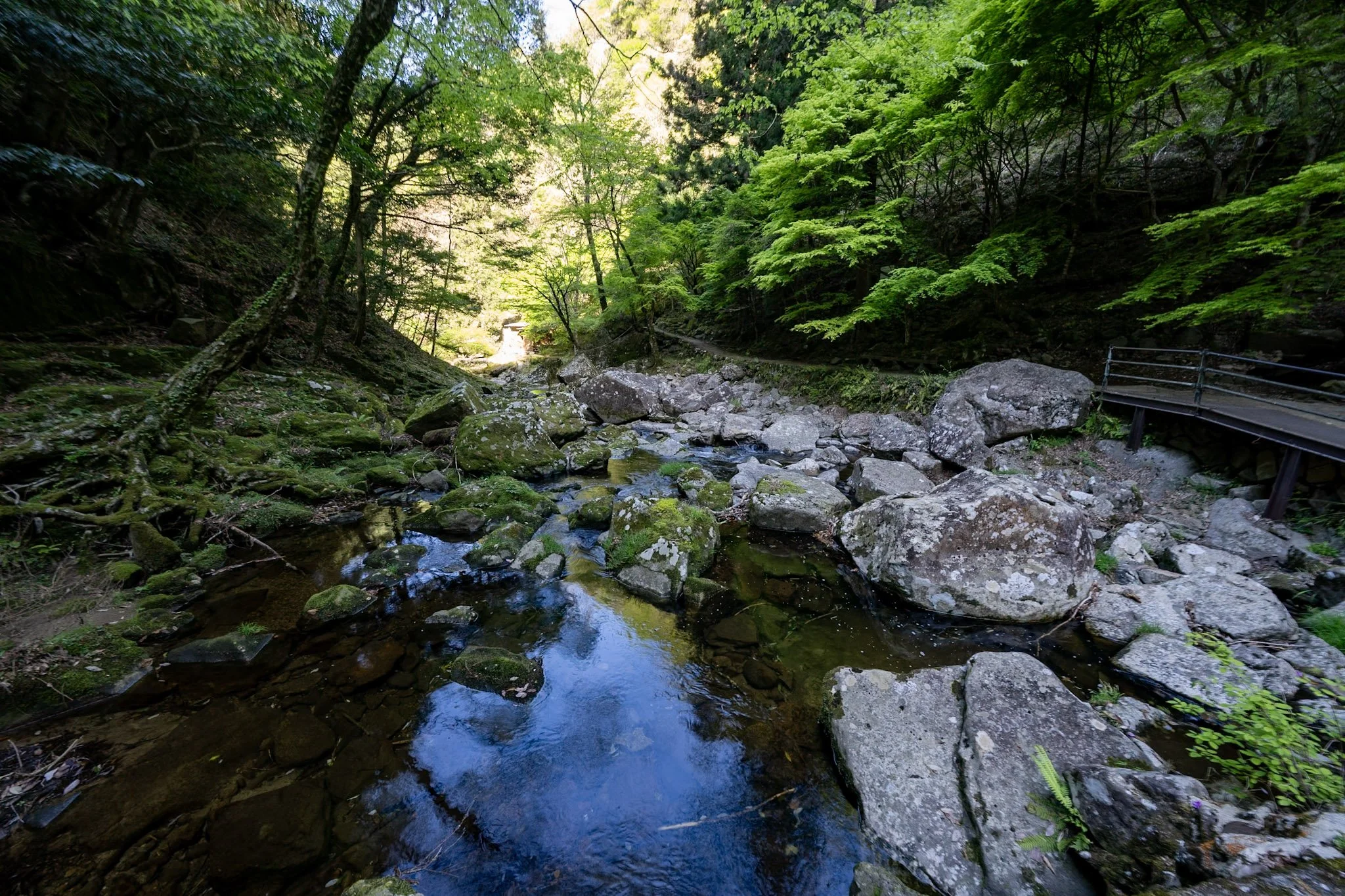 Temples, stone monuments, terraced countryside and waterfalls around Nara and Asuka