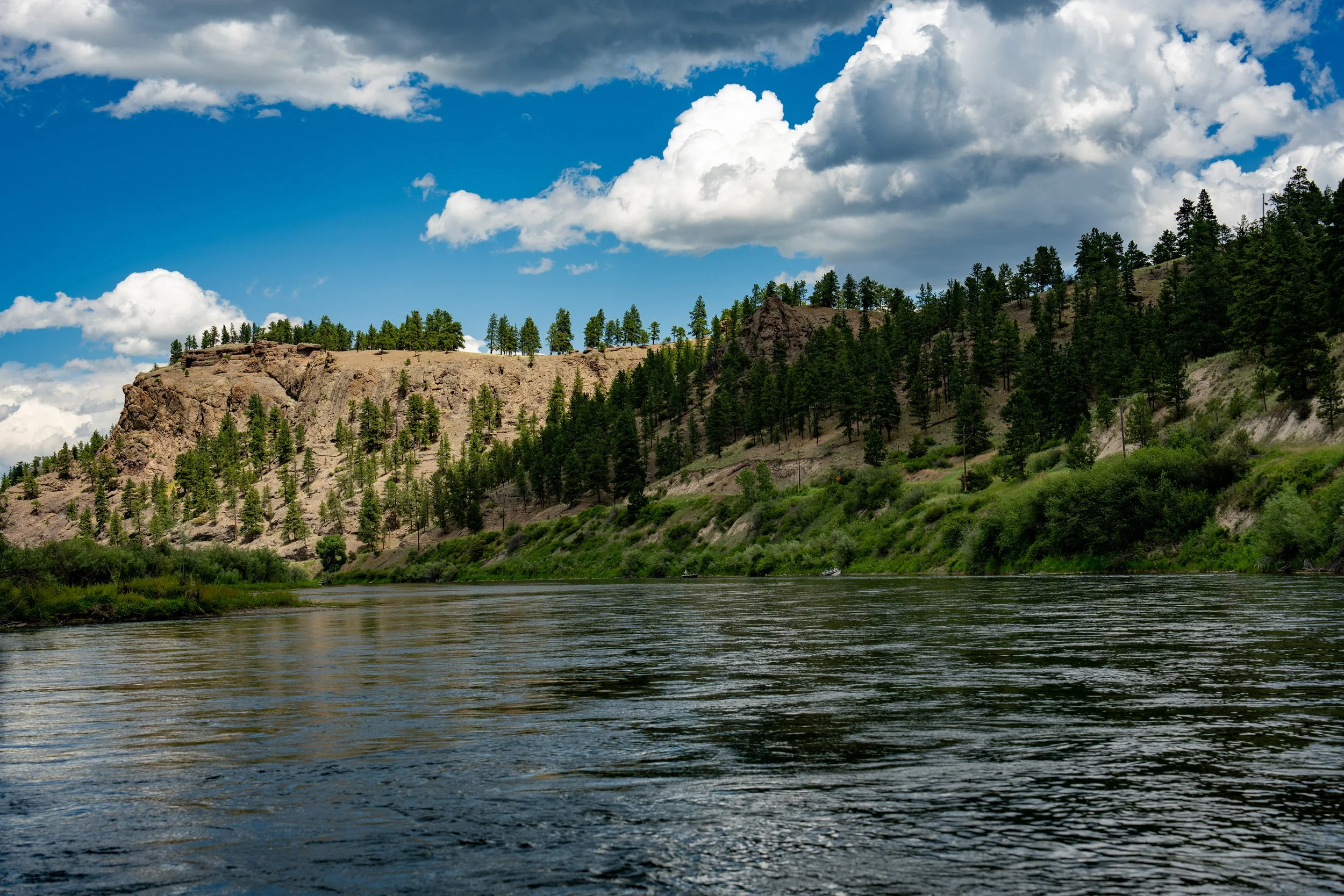 Montana