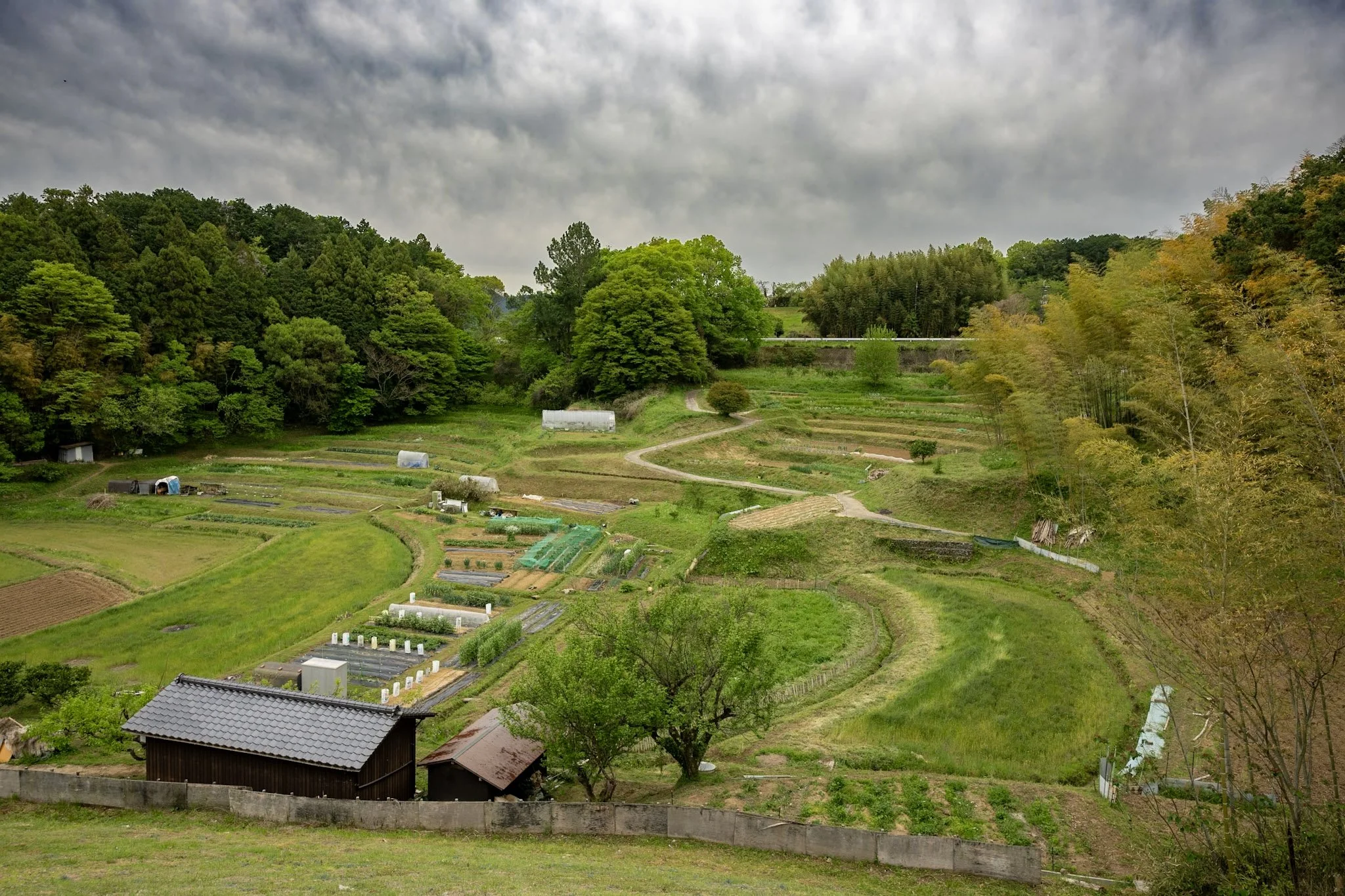 Temples, stone monuments, terraced countryside and waterfalls around Nara and Asuka