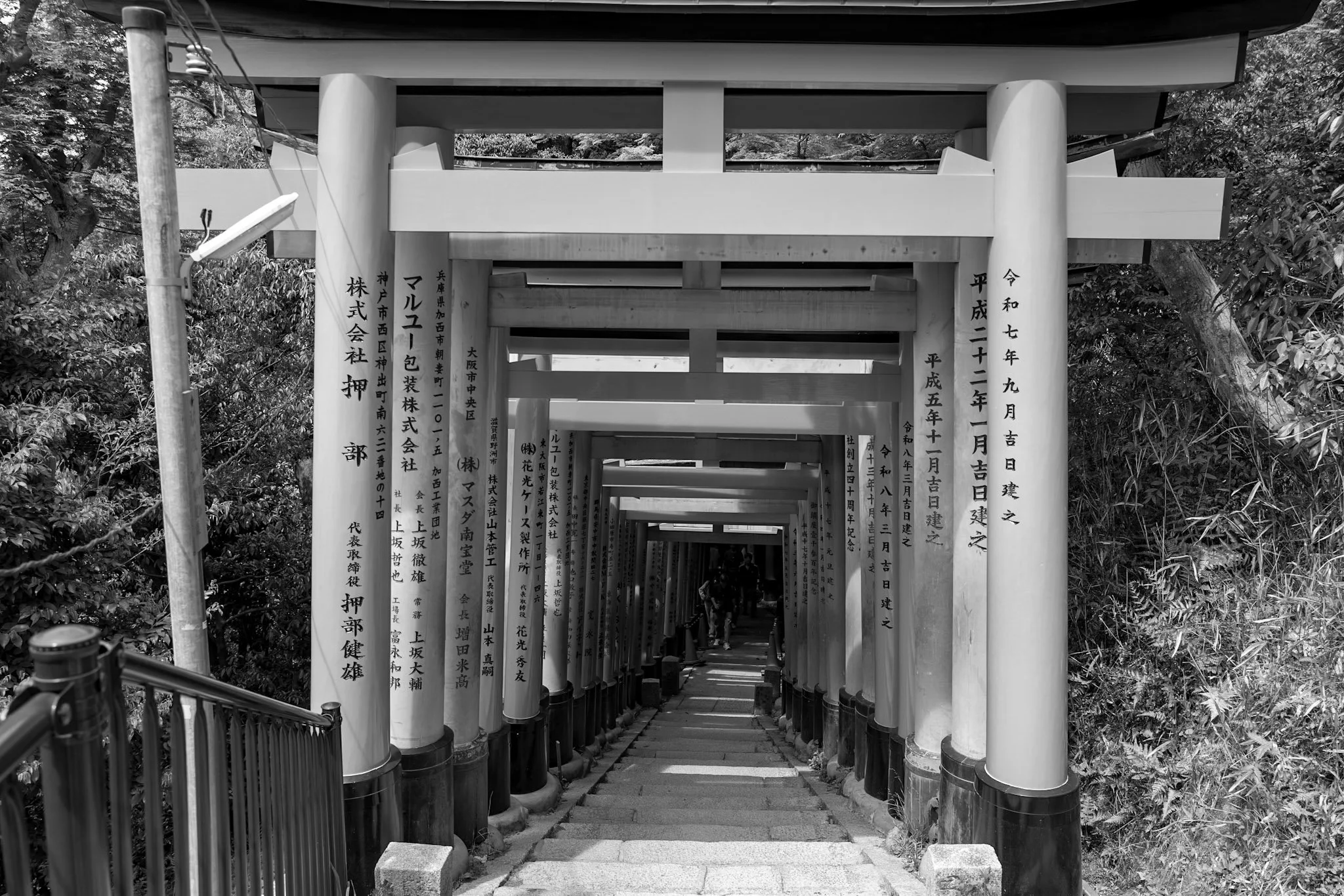jp-faacb936874a.jpg