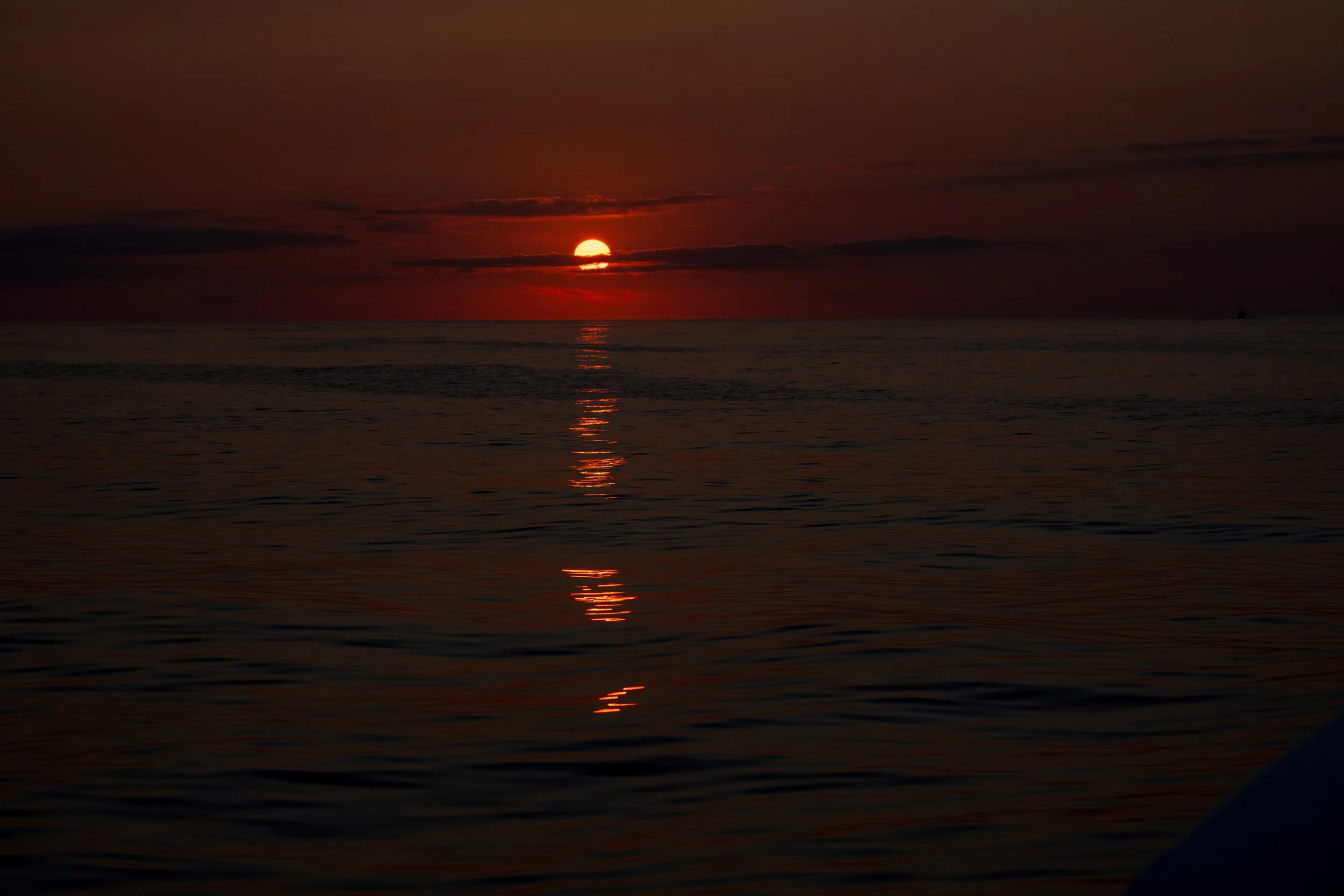 DSC00667.jpg